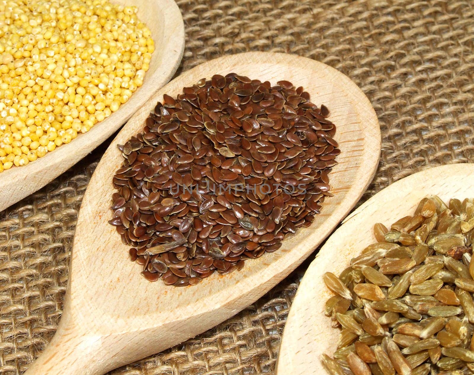 Grains