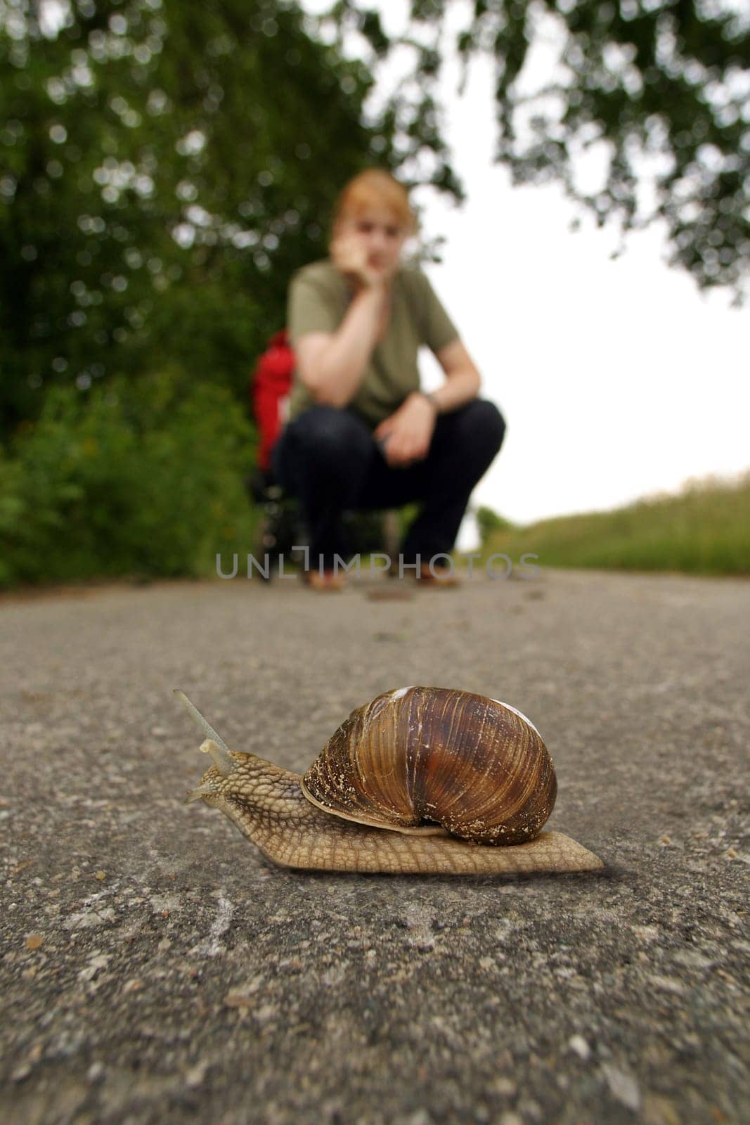Crawl