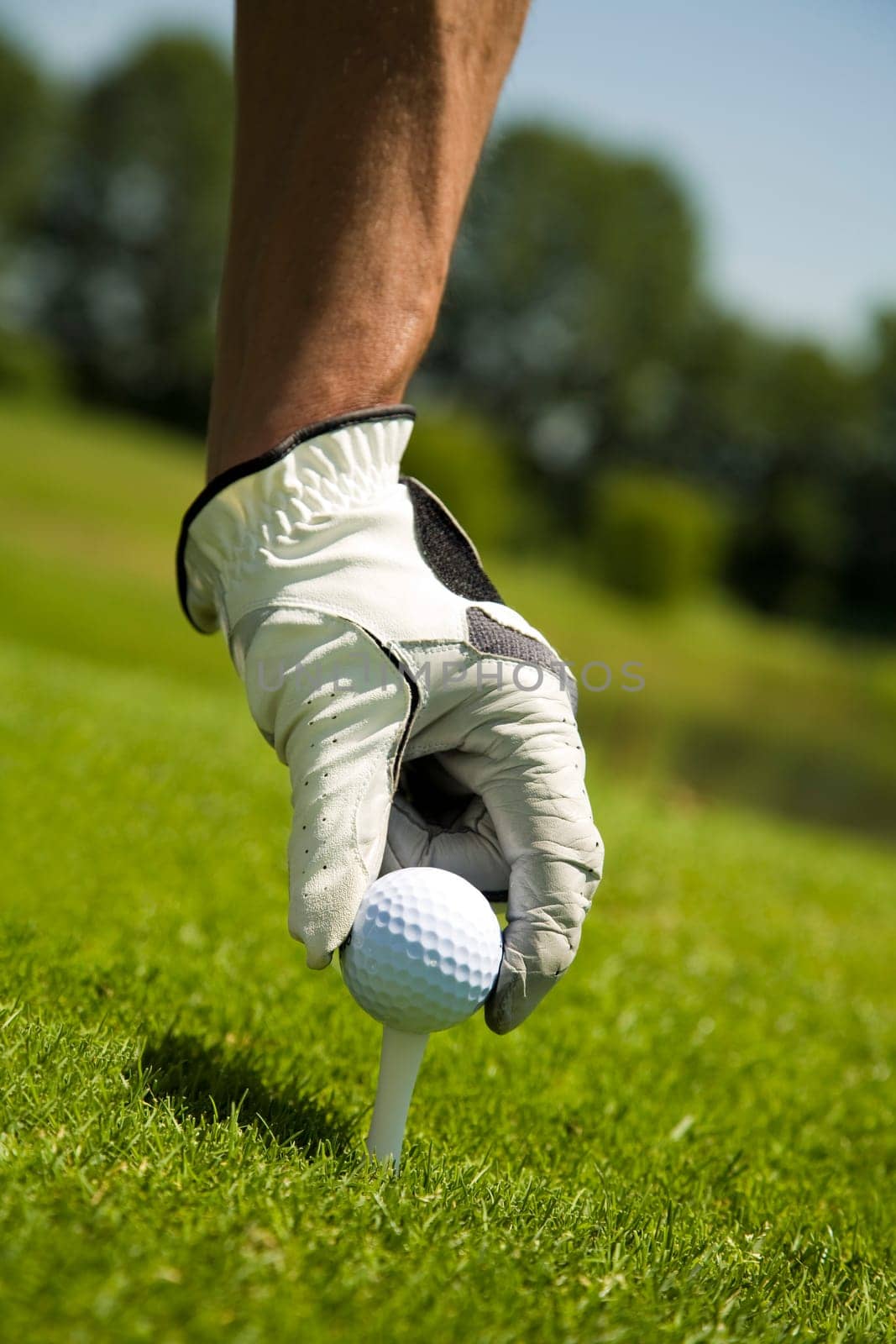 Golf Club