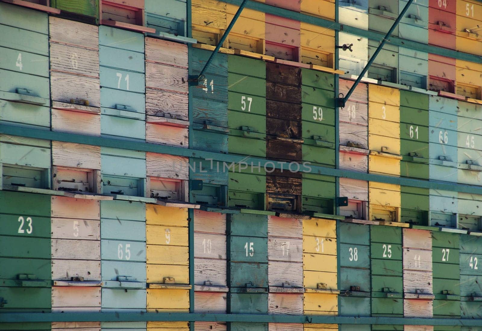 Bee Cart 03