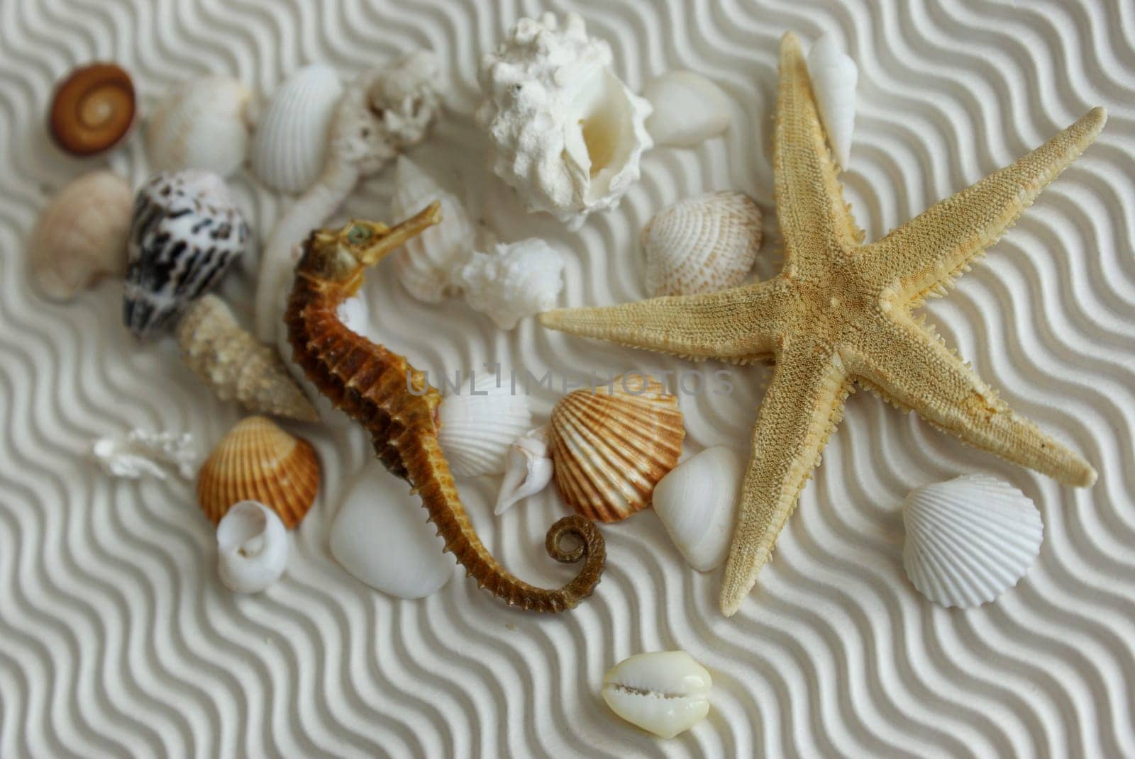 Decorative Finds