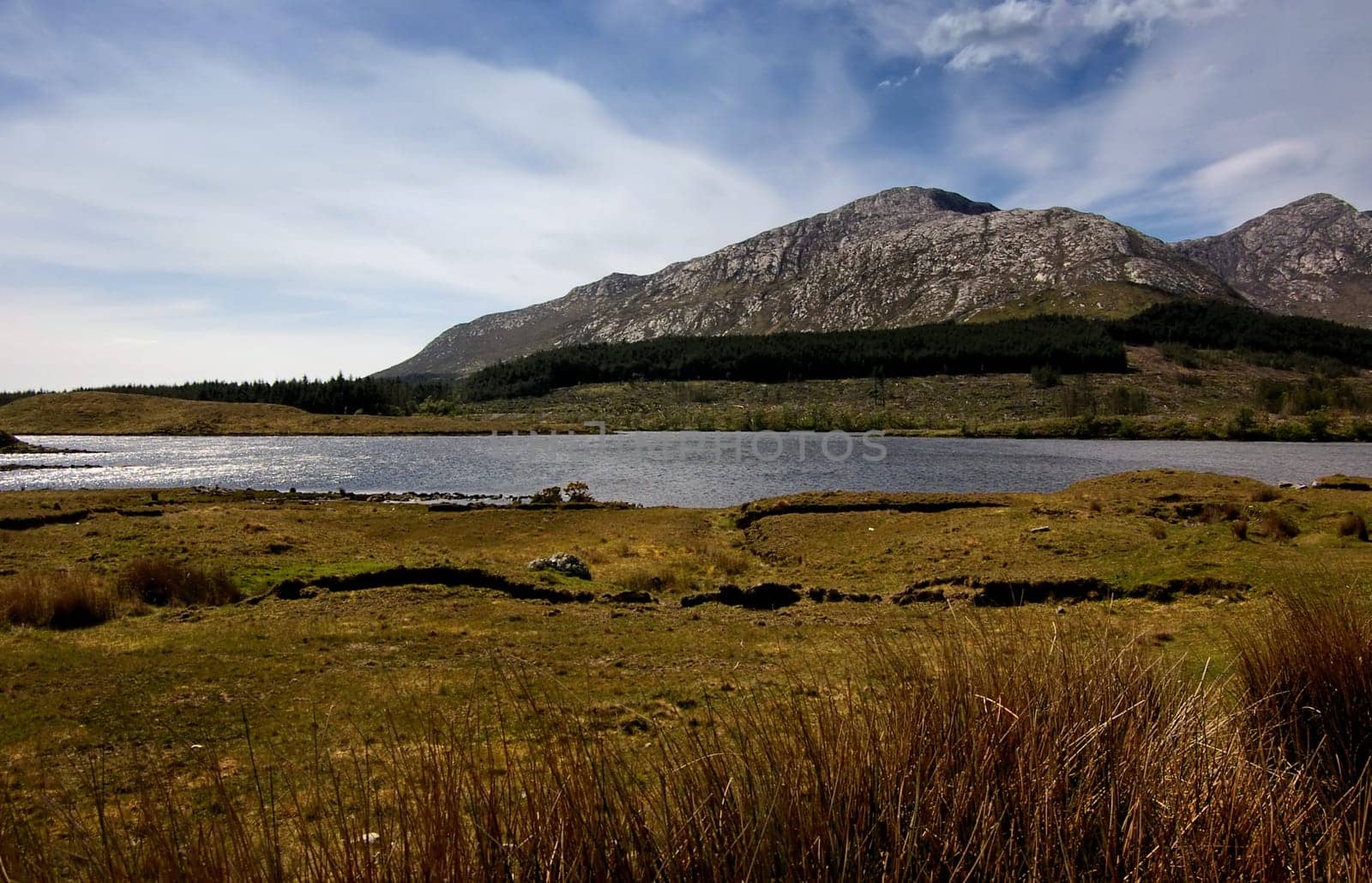 CONNEMARA