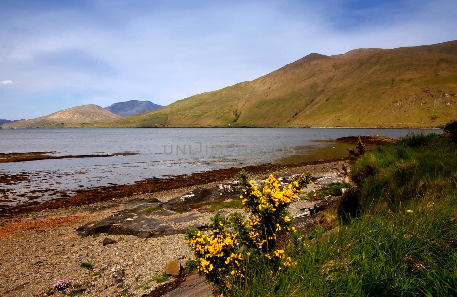 Lonely bay