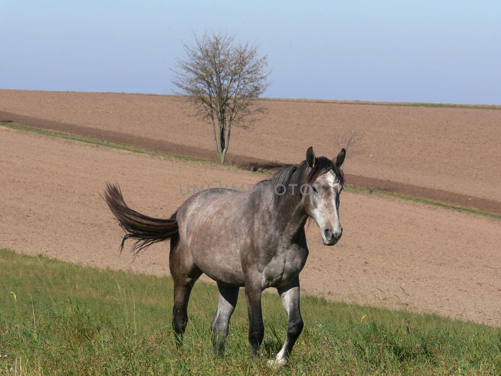 In the wide corridor