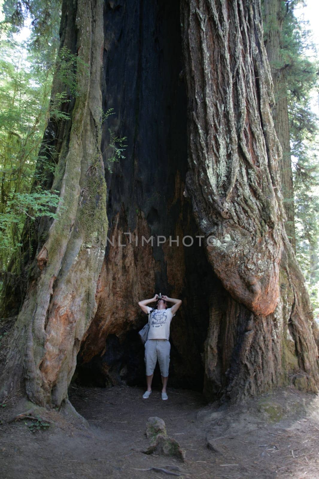 small photographer