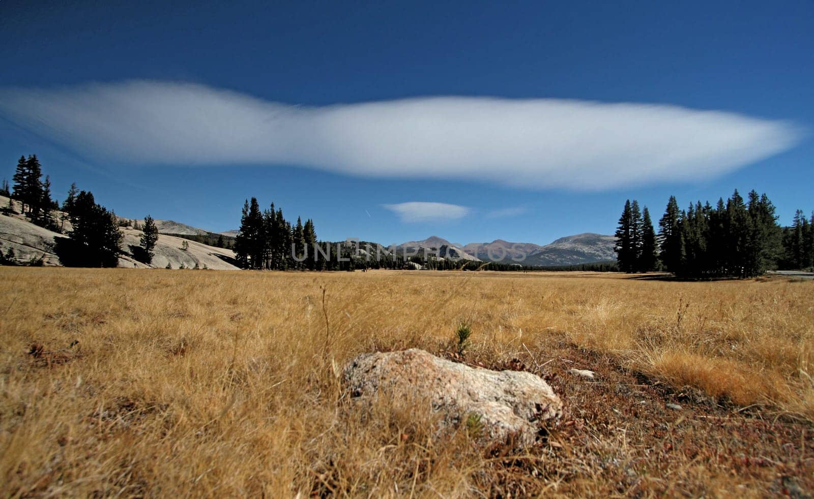 ... in Yosemite National Park