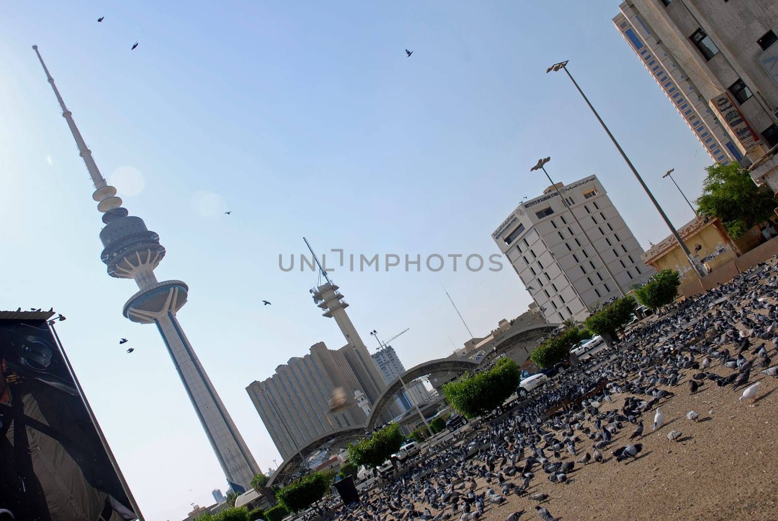 The Tower of Liberation in Kuwait and lots of pigeons