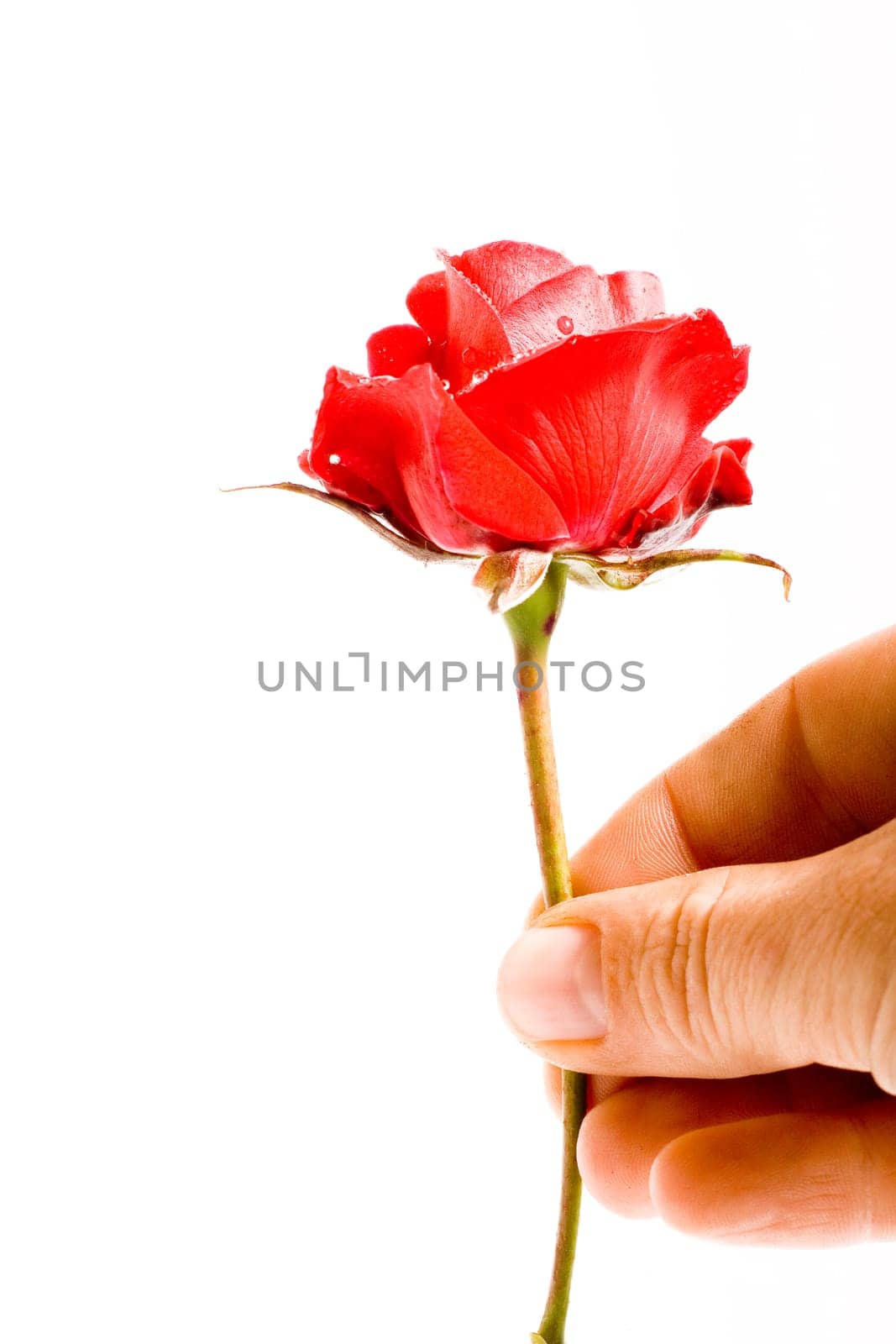Give the gift of love