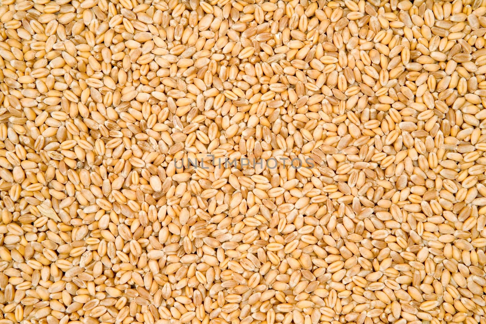 Cereal Texture