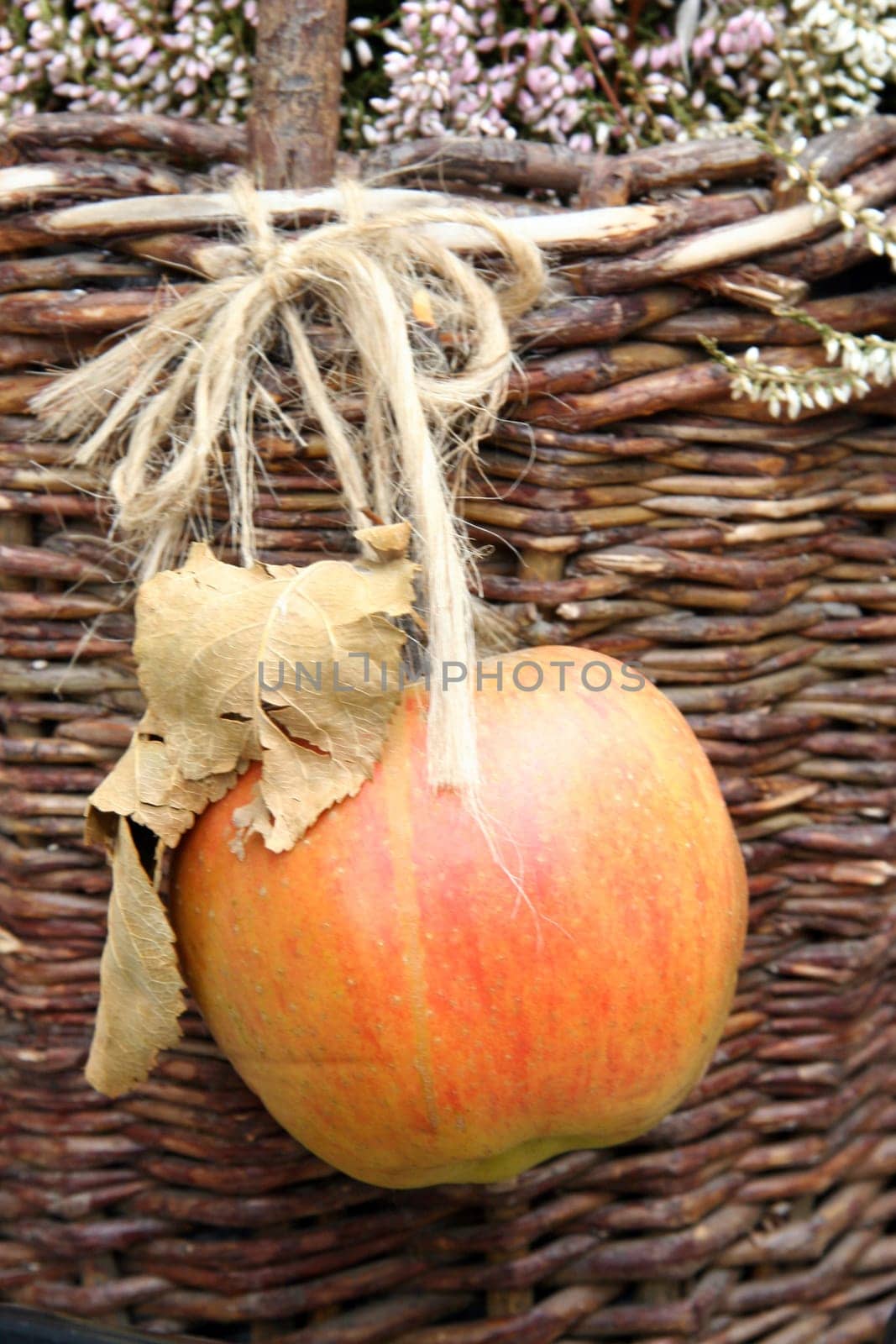Christmas Apple 1