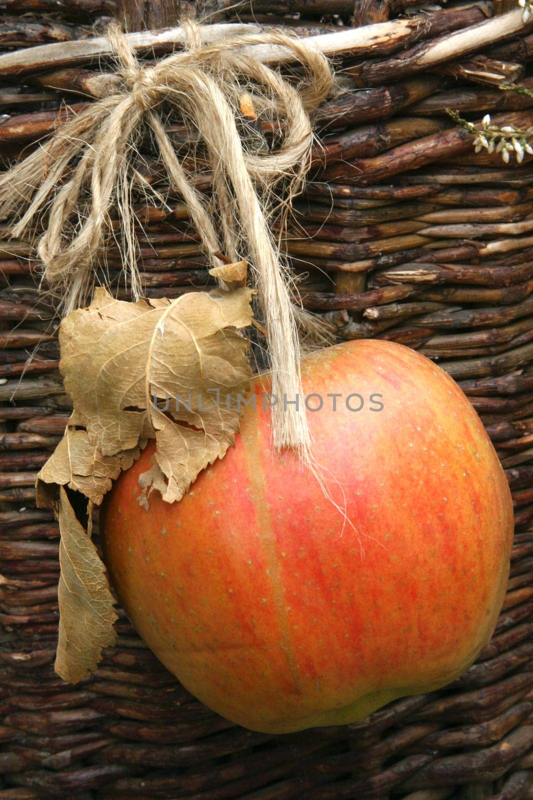 Christmas Apple 2