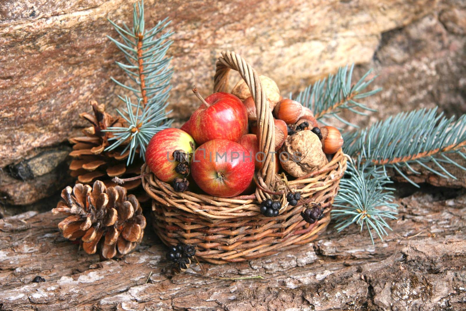 Advent decoration