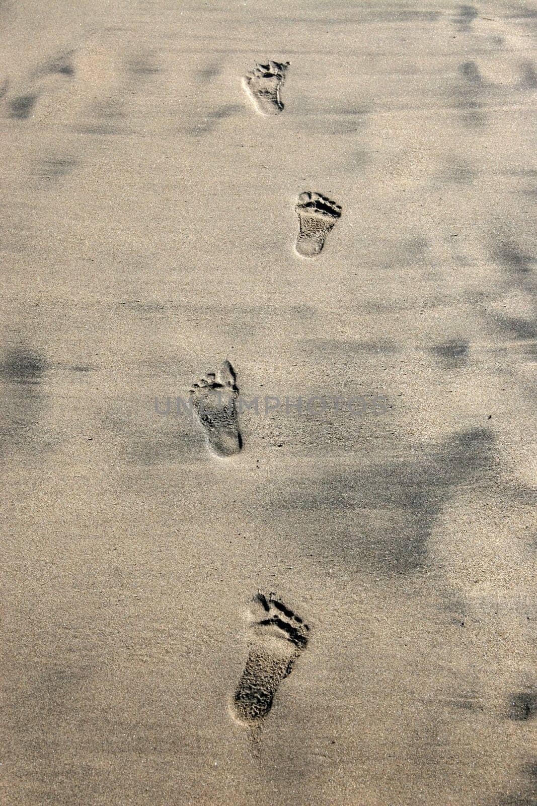 Footprints in the sand