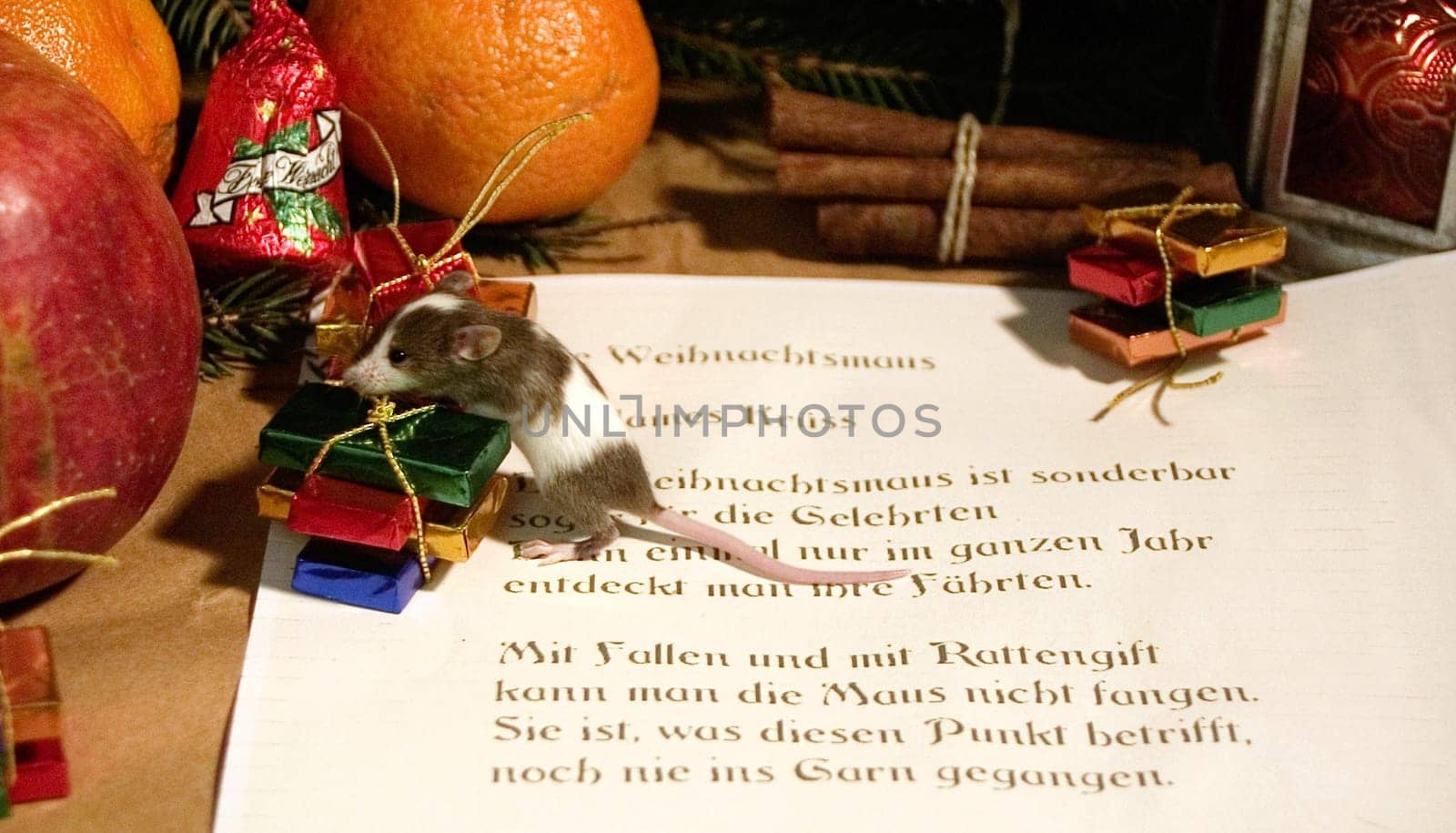 The Christmas Mouse