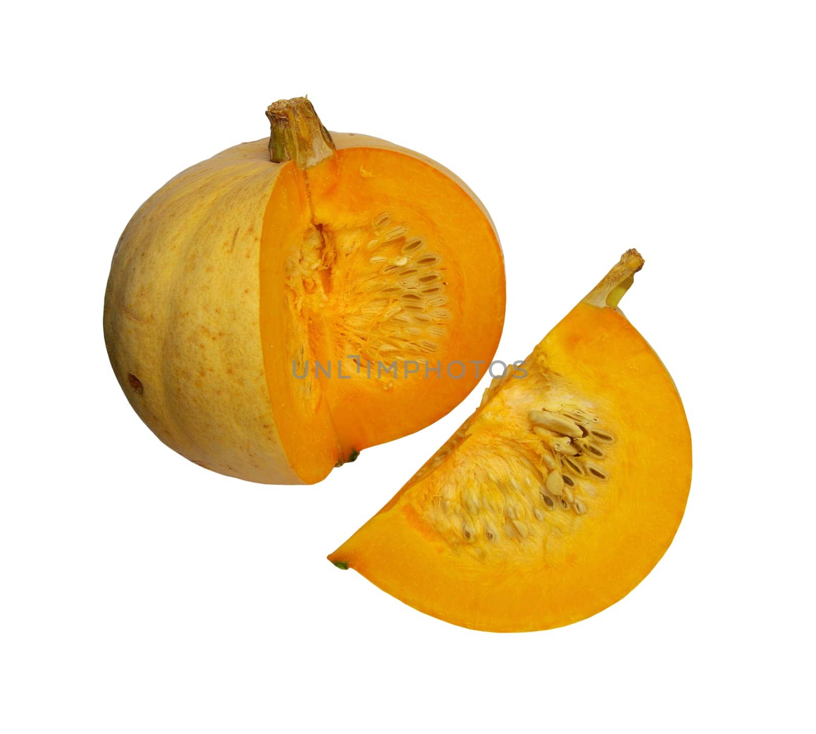 Pumpkin 19