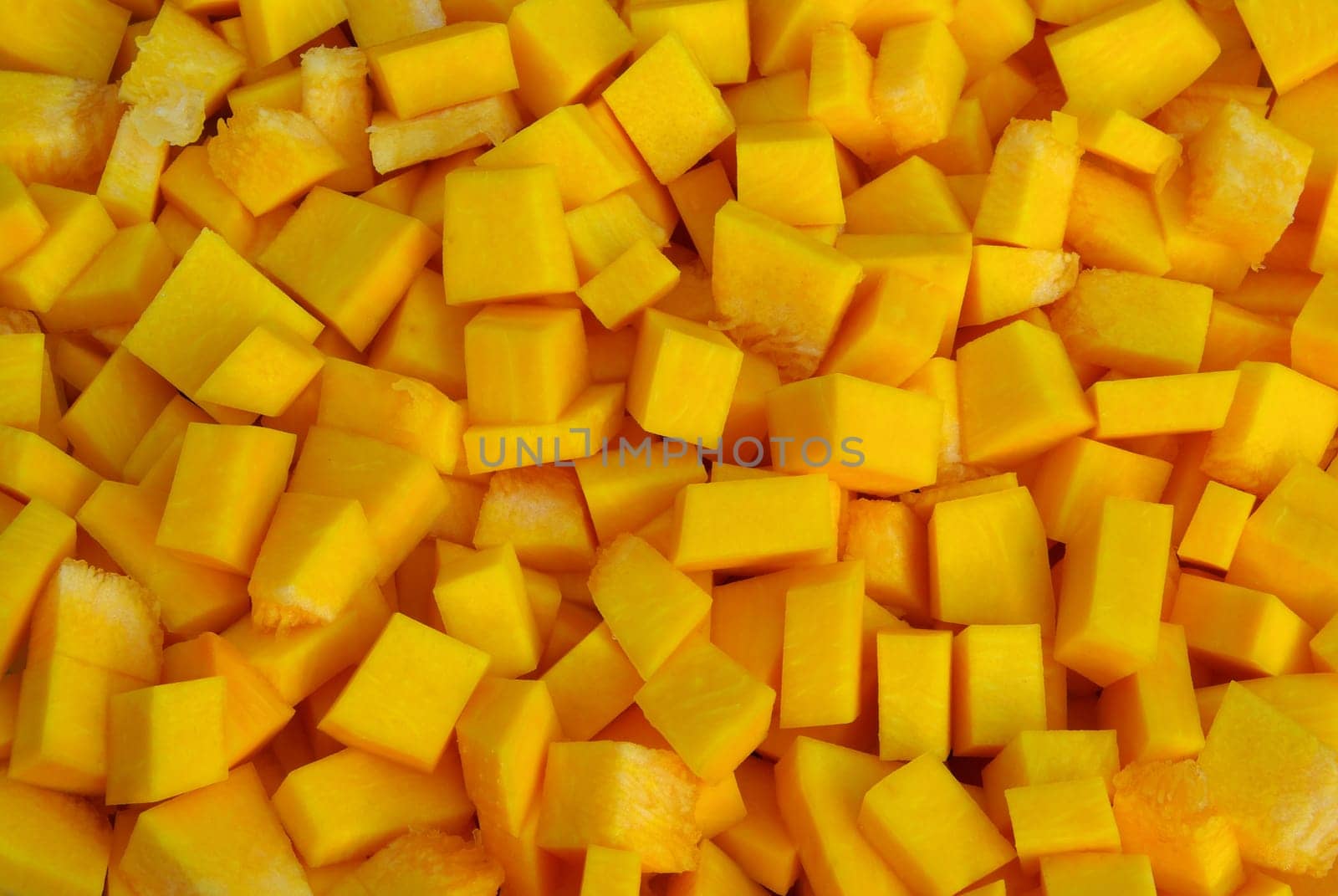 Pumpkin 20