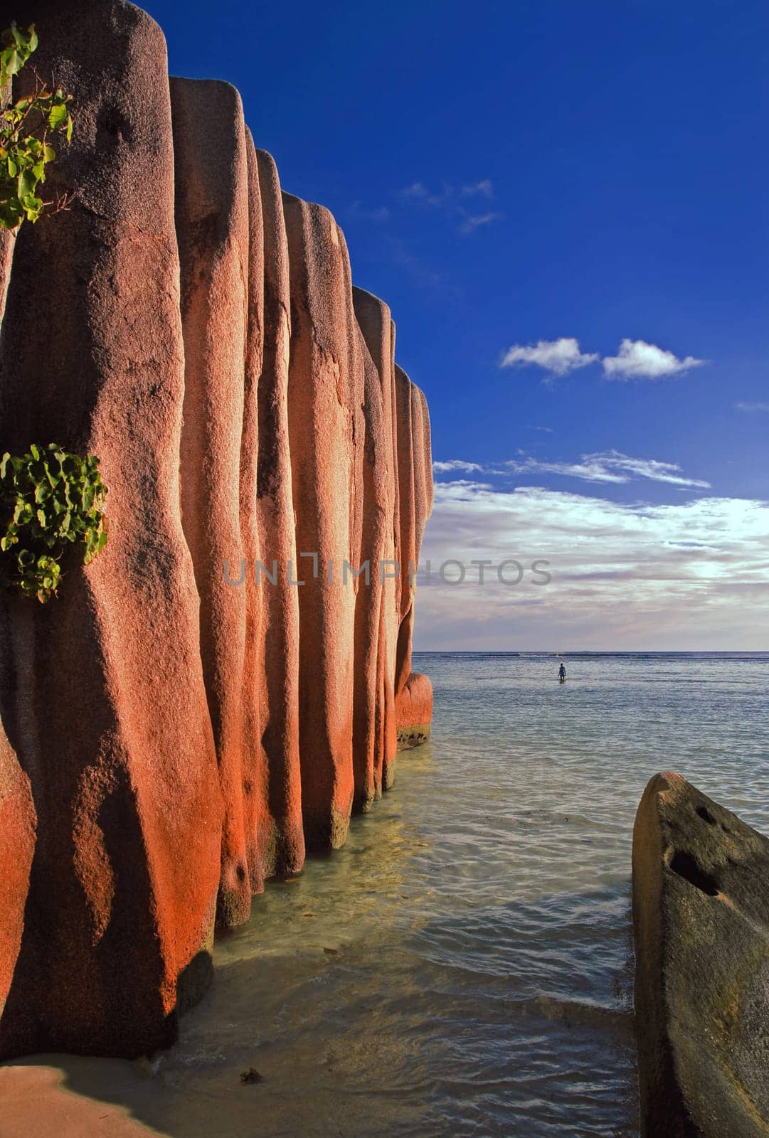 A 700-million-year-old granite rock on the island reveals the solution: Normally,granite is only found deep inland. From this it can be concluded that the Seychelles once belonged to the mainland,more precisely to the supercontinent Gond