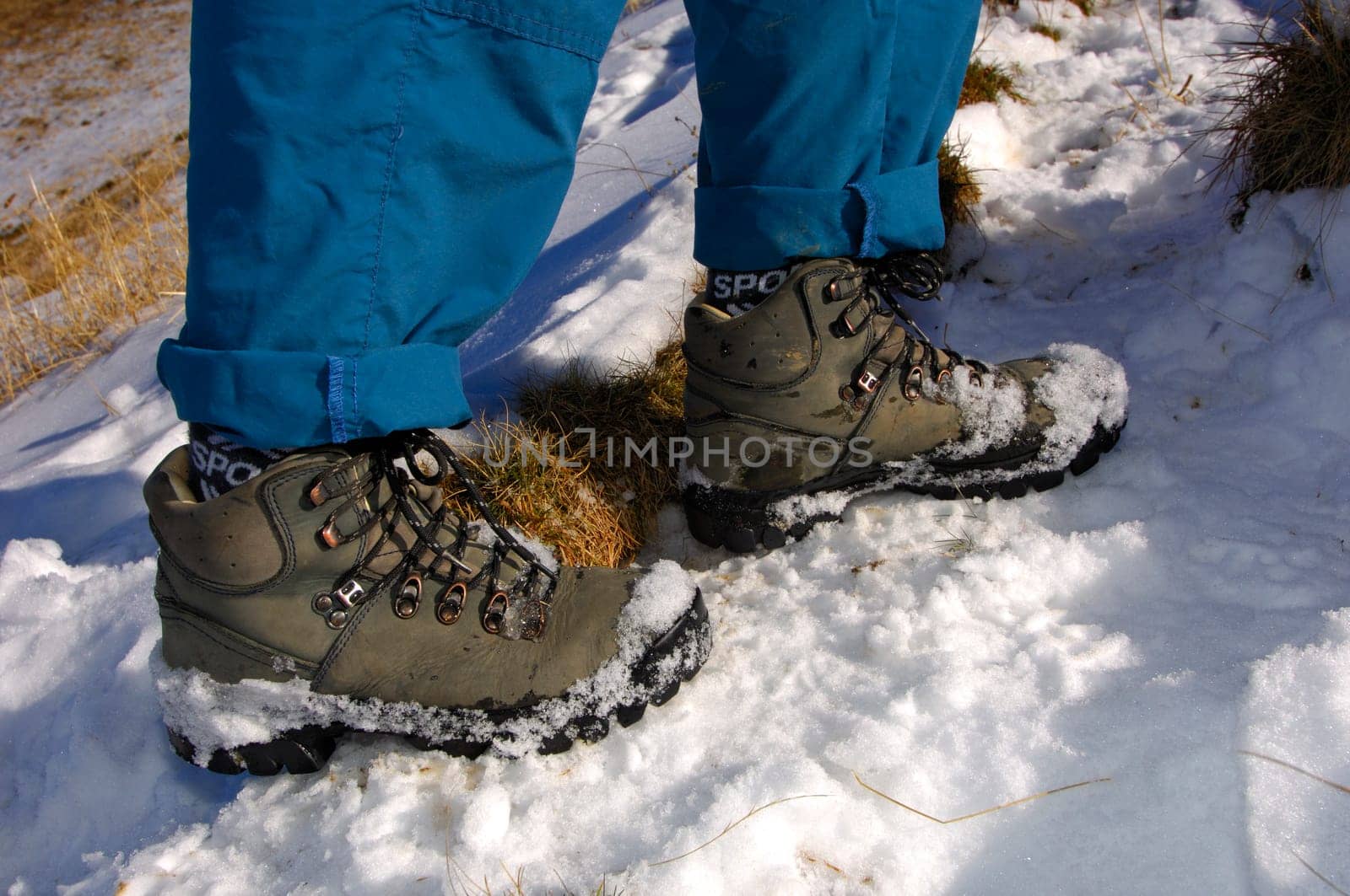 Snow Shoes