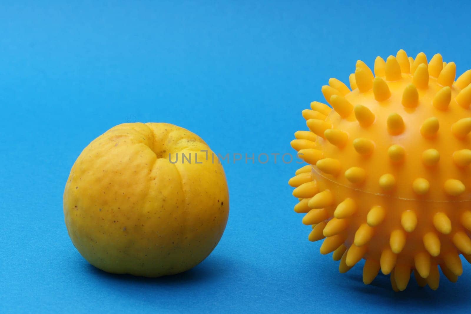 Hedgehog Ball