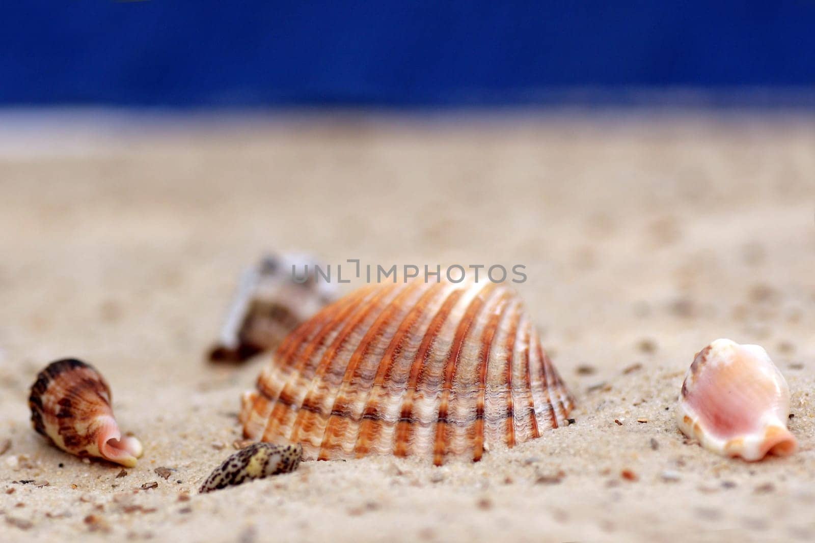 Sandy beach