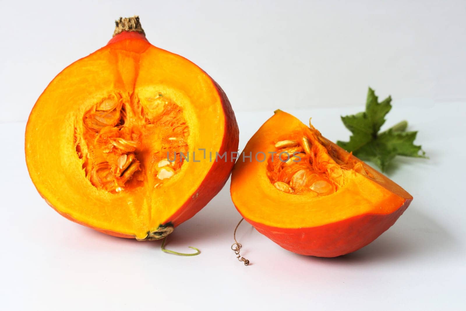 Hohhaido Pumpkin