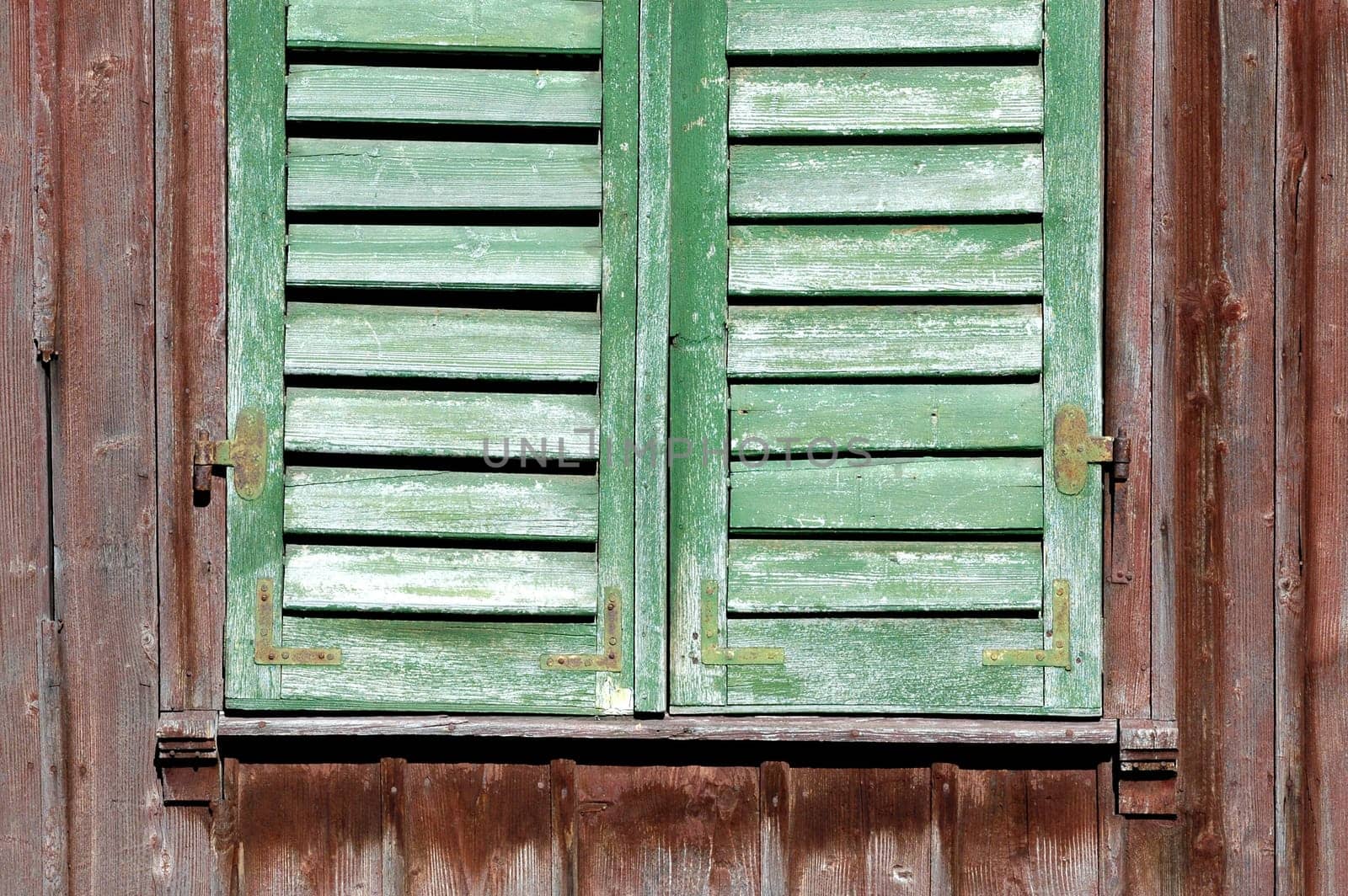 Shutter green