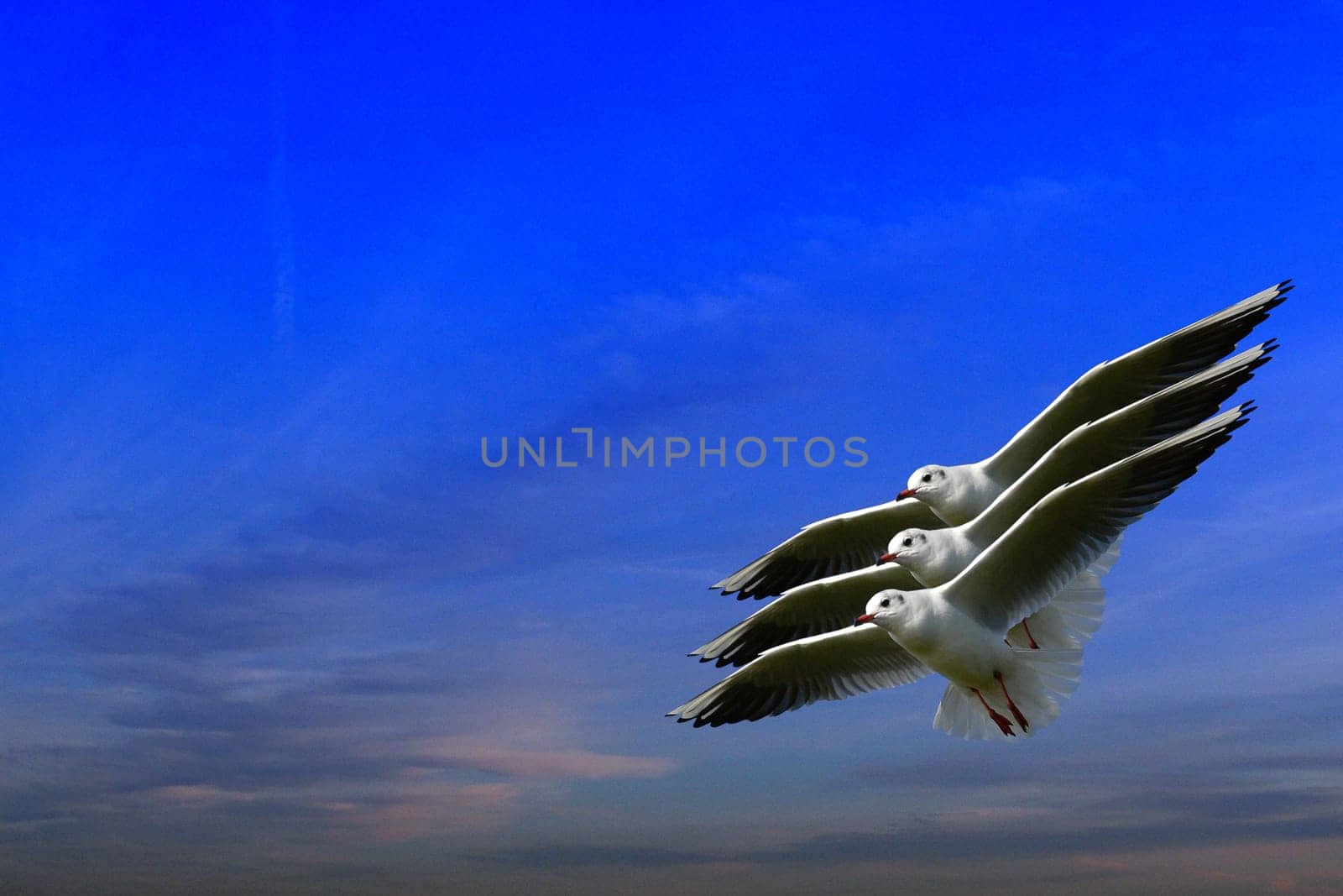 Formation flight