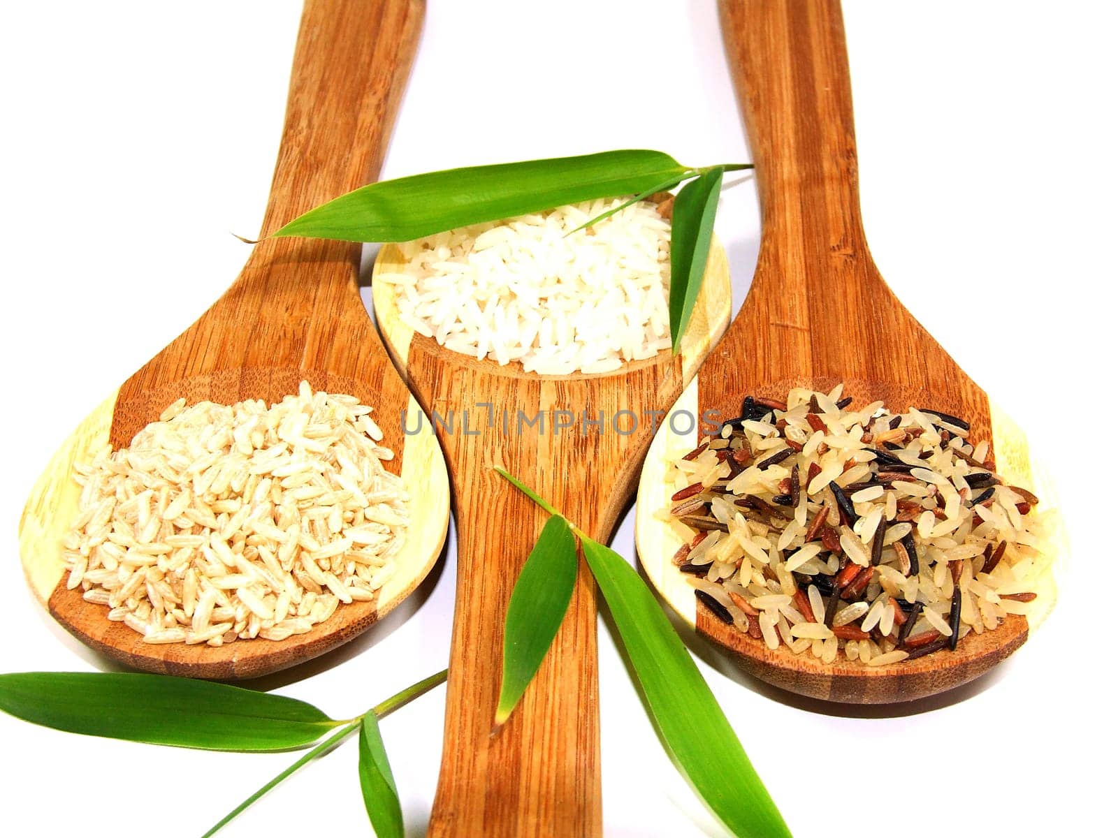 Rice