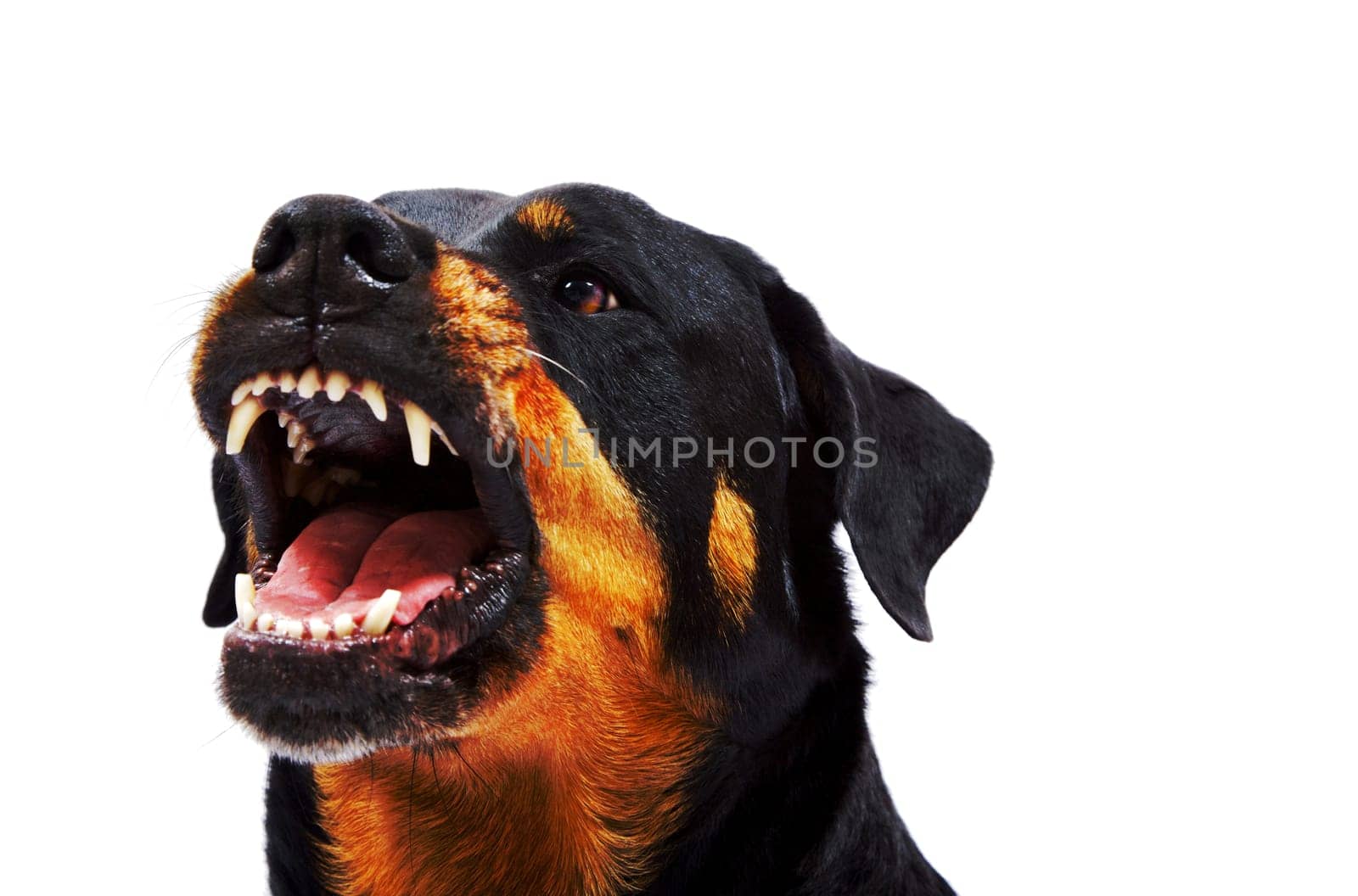 DEEP THROAT