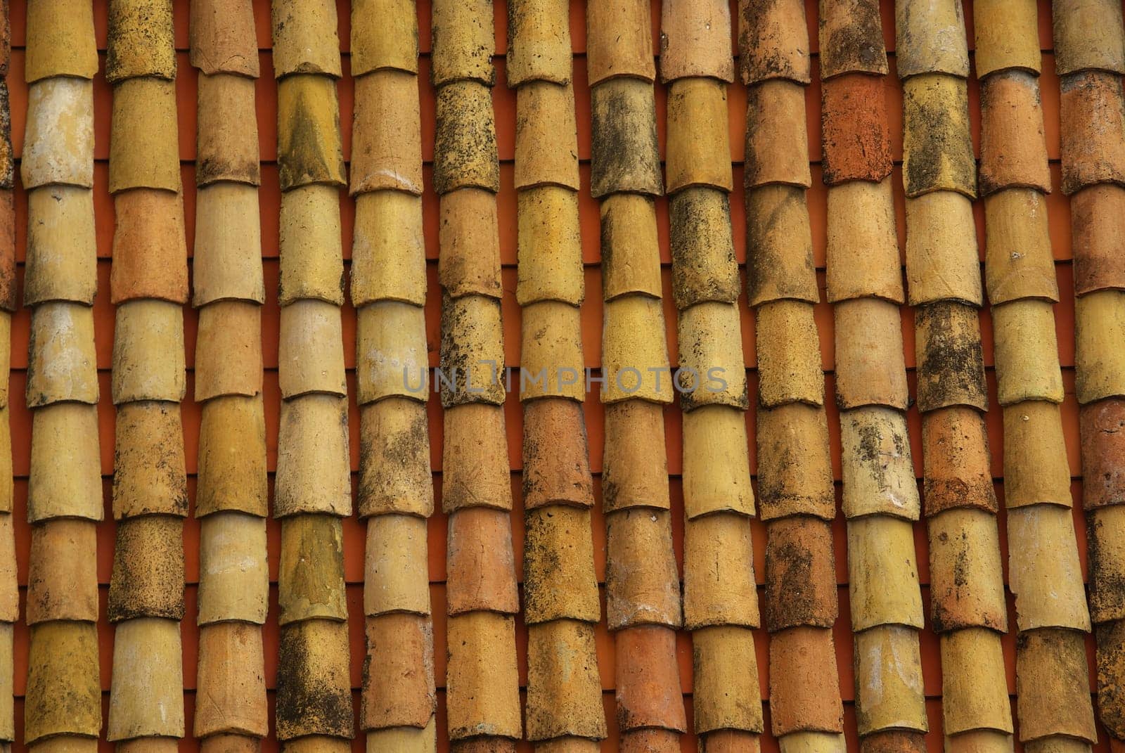 Roof tiles 14