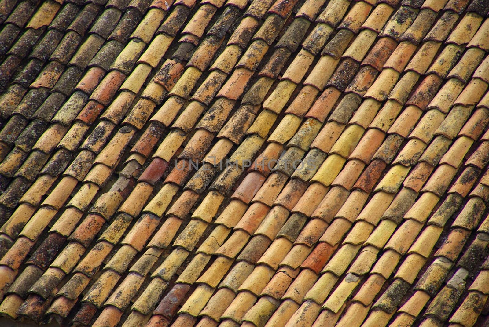 Roof tiles 21