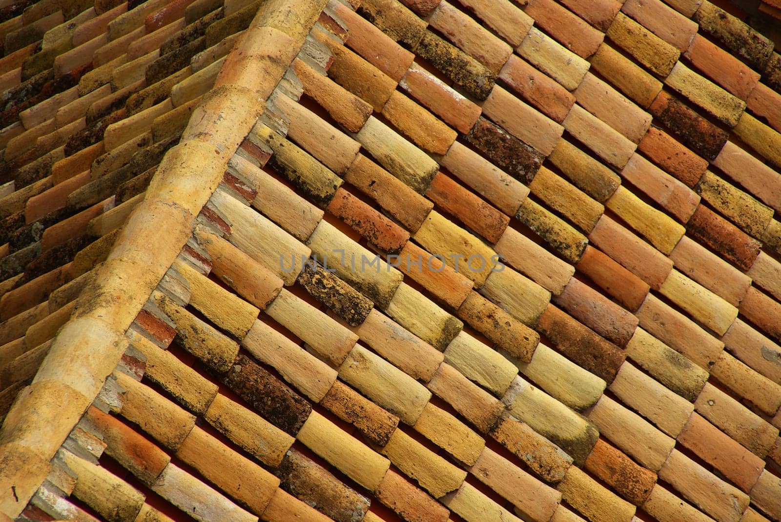 Roof tiles 22