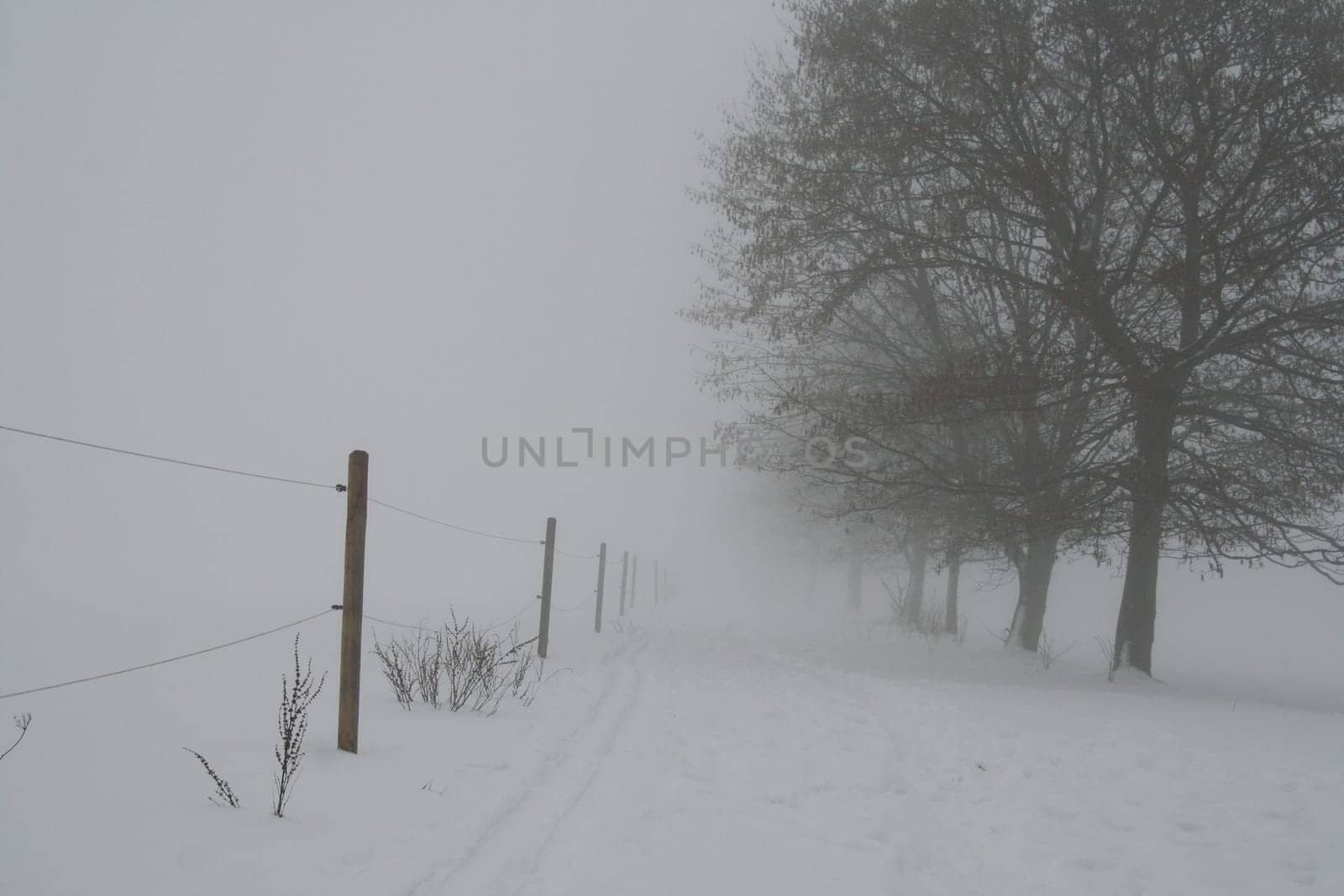 Fog