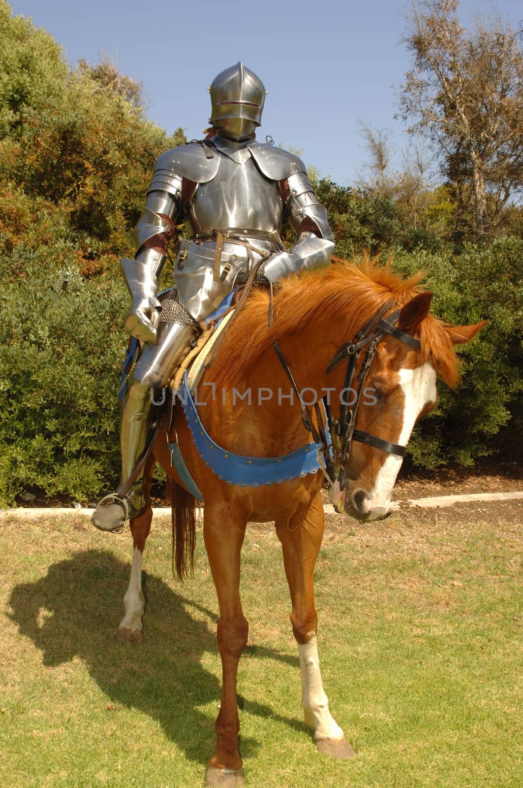 Knight on a horse