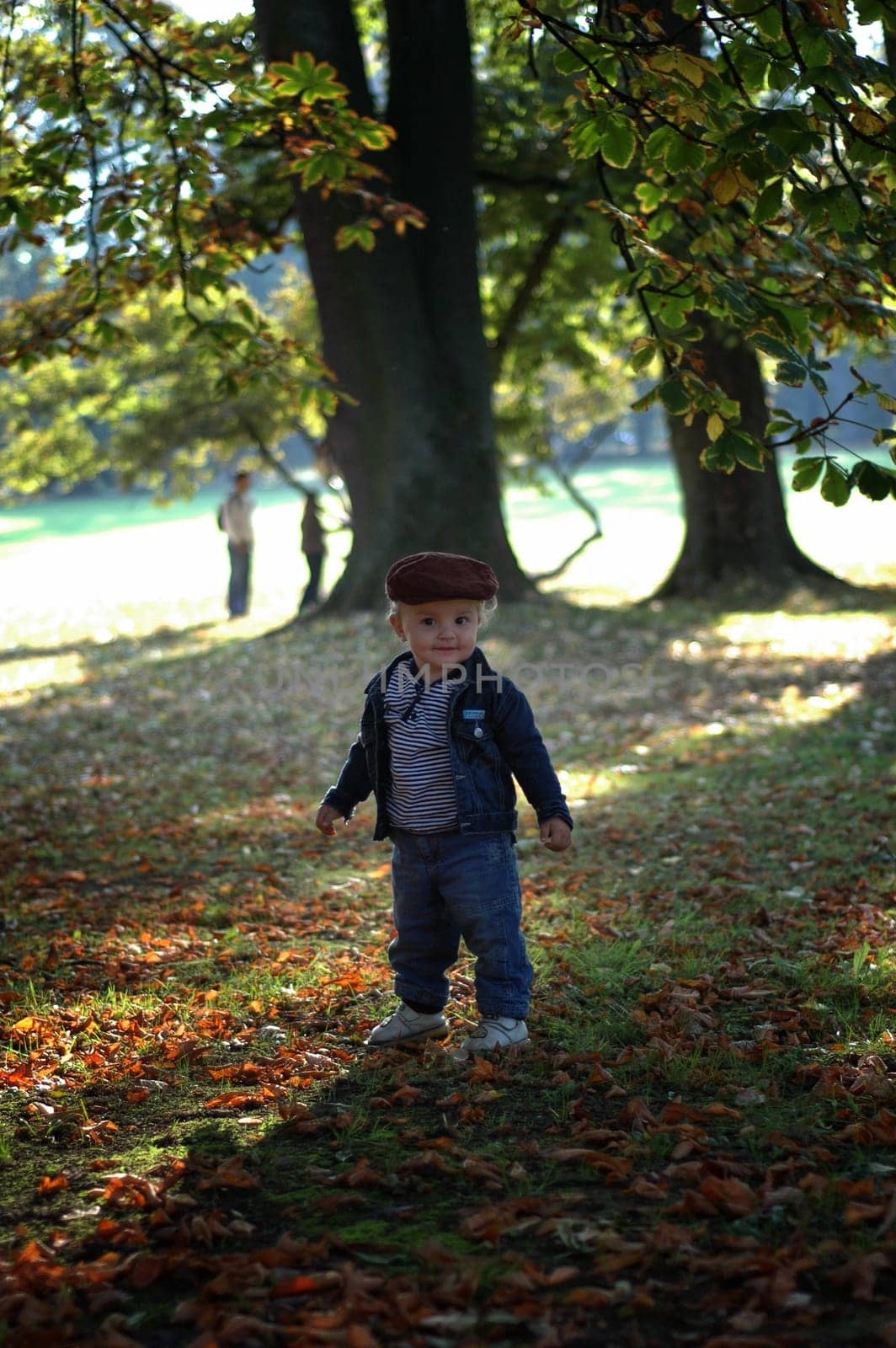 In the park