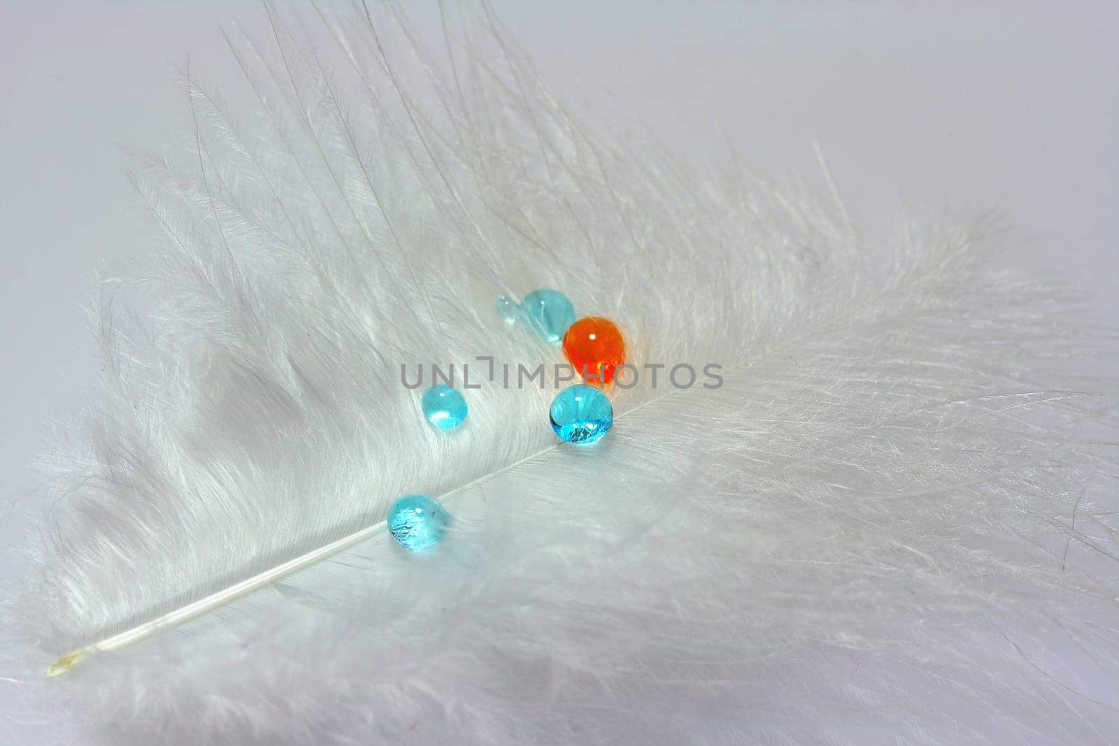 Feather Dream