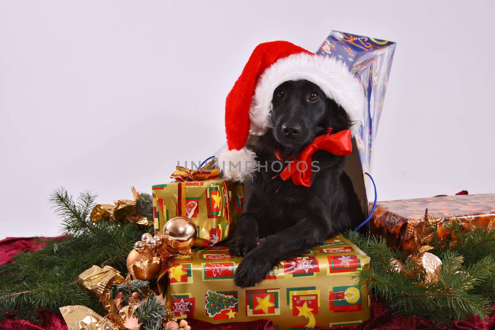 A questionable Christmas present