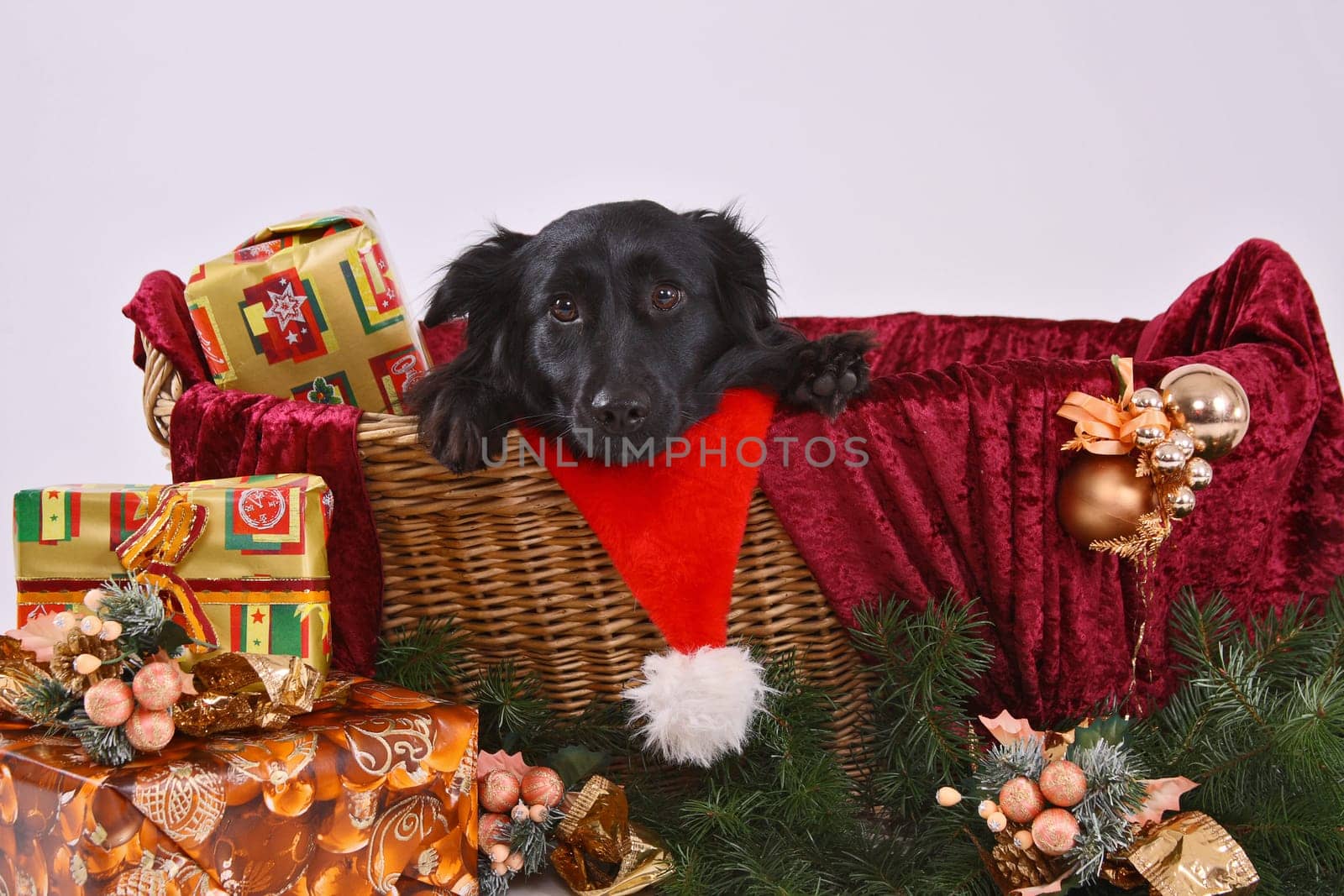 A questionable Christmas present