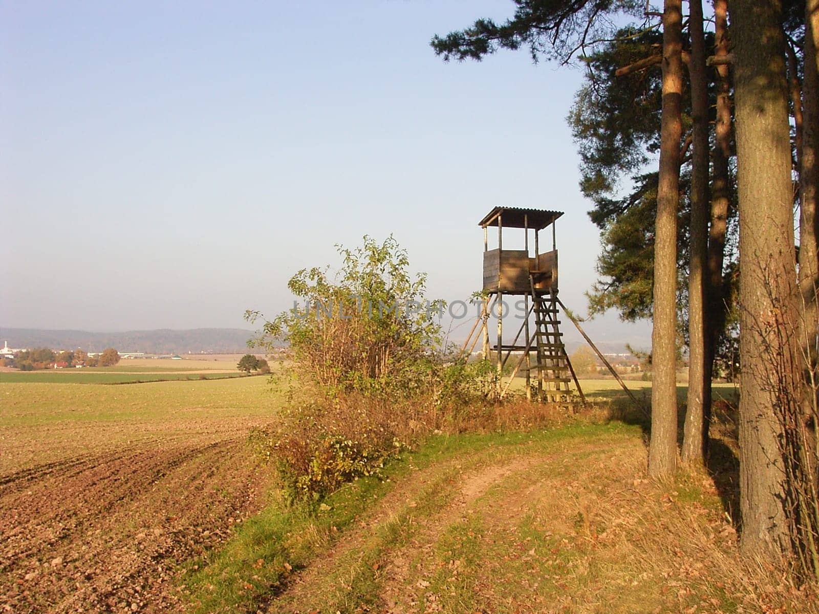 Raised hide