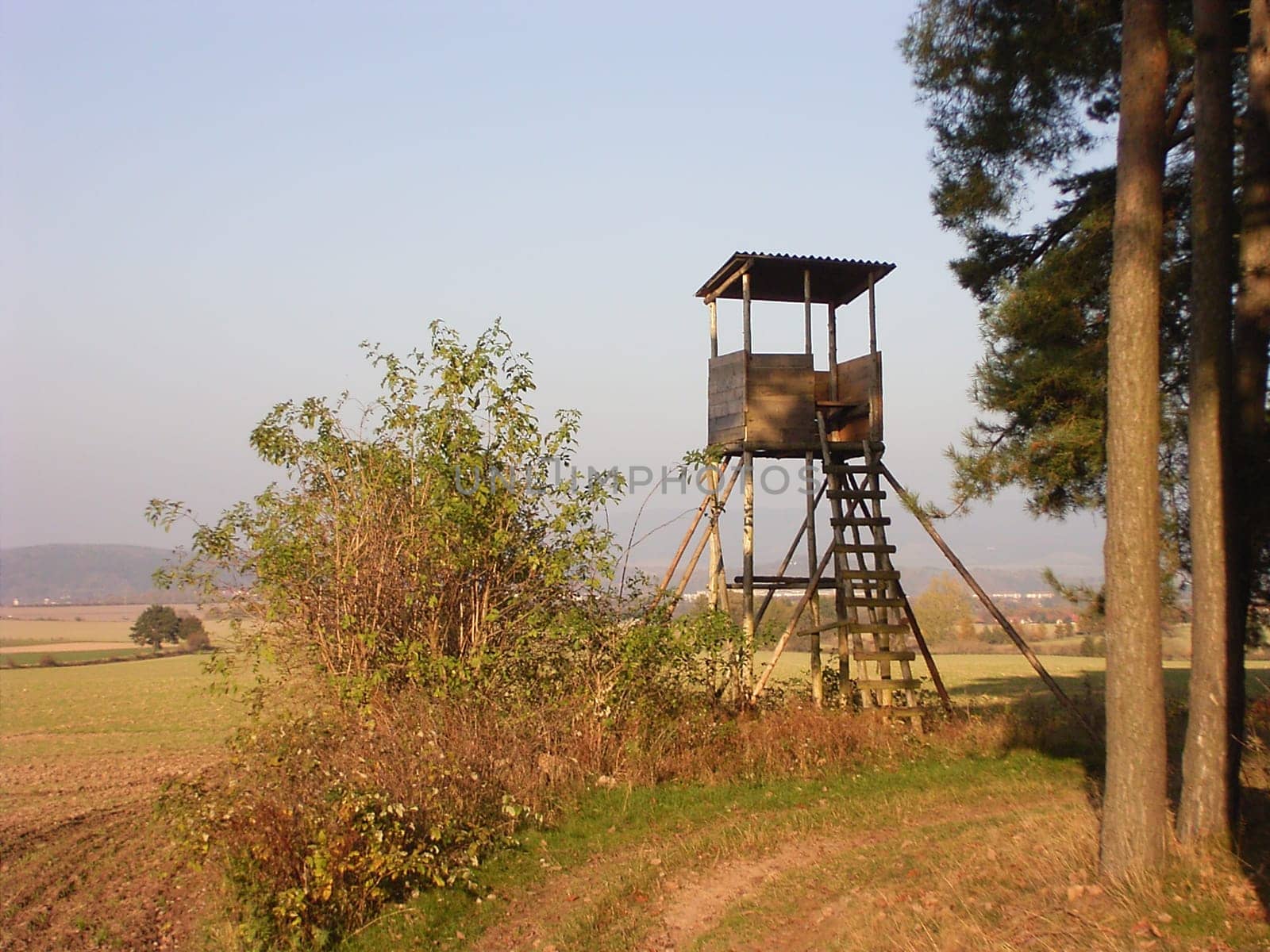 Raised hide