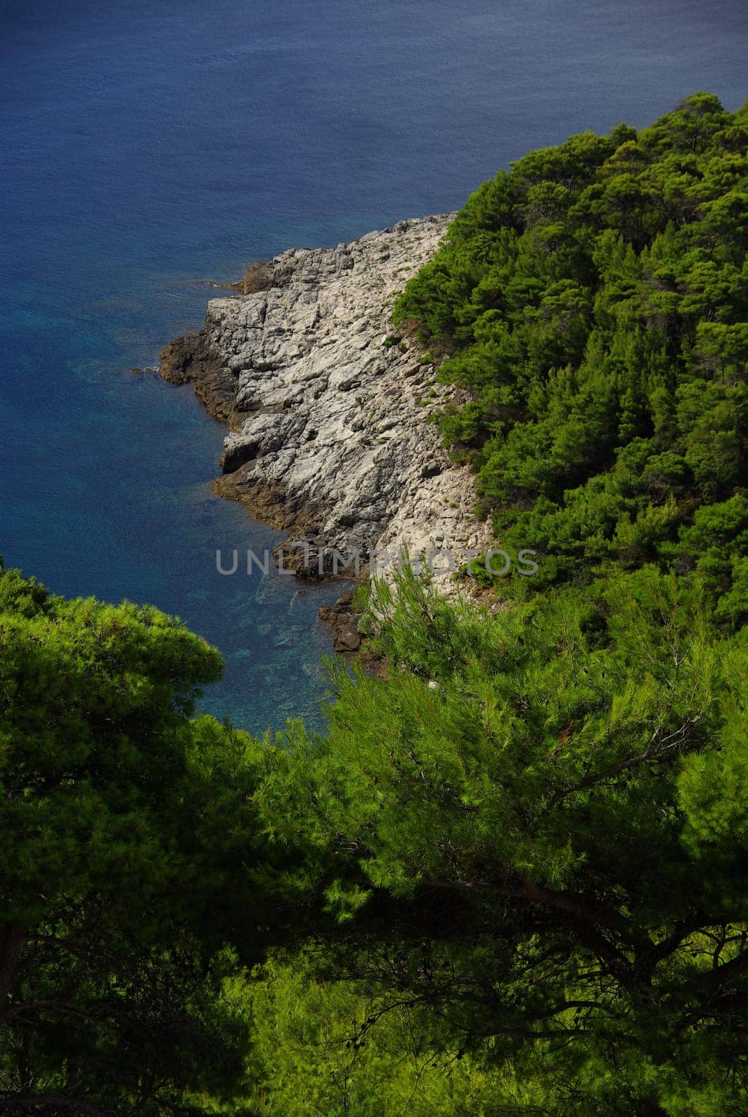Mljet Coast 02