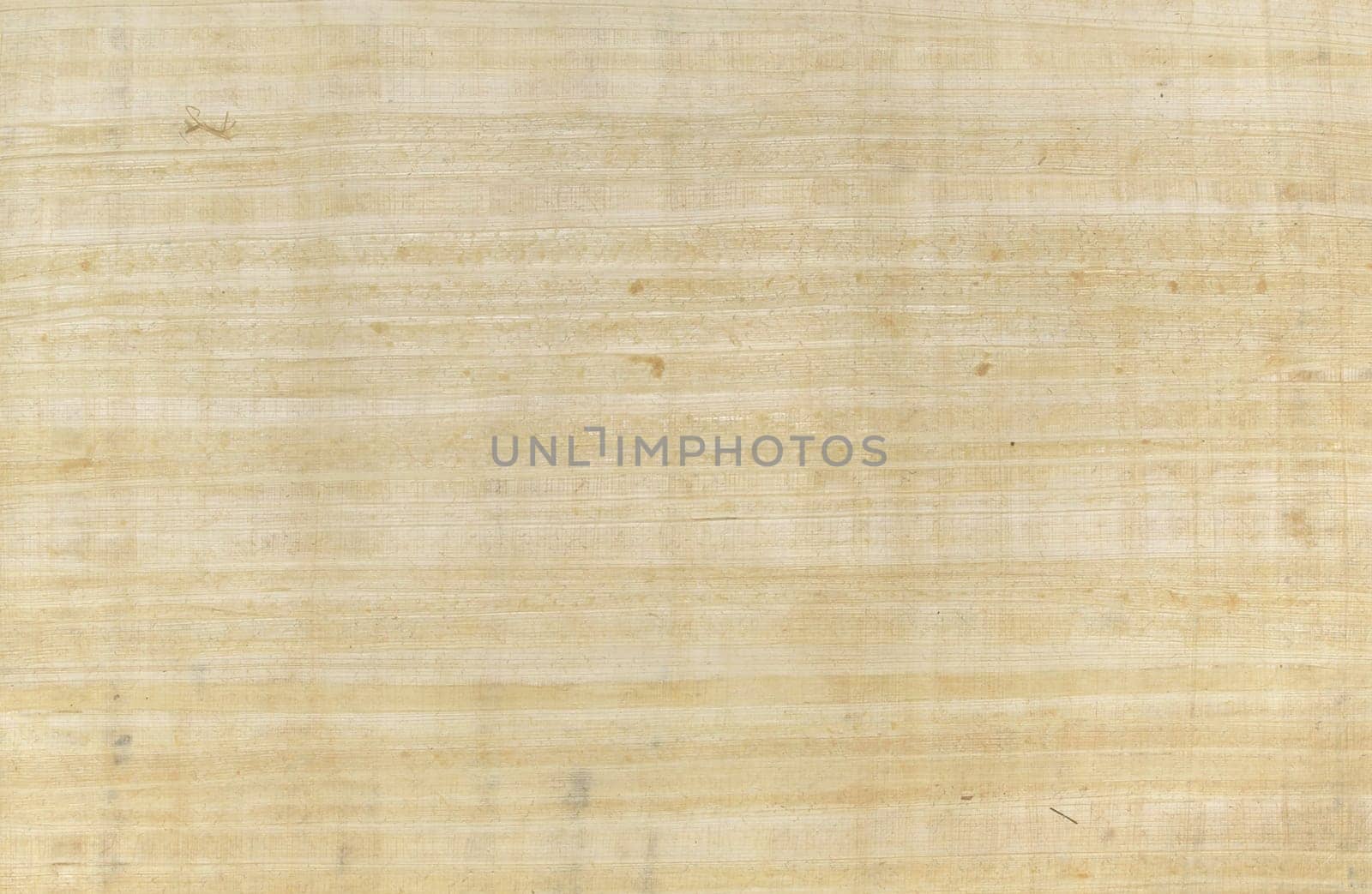 papyrus