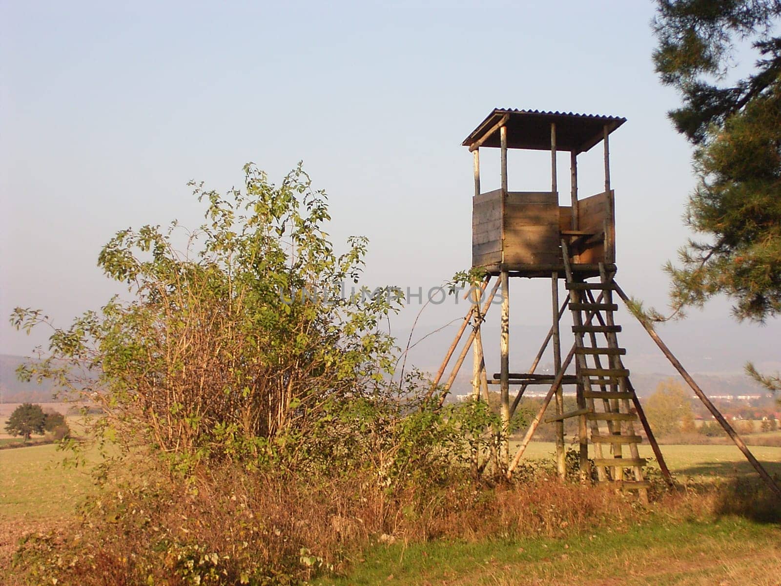 Raised hide