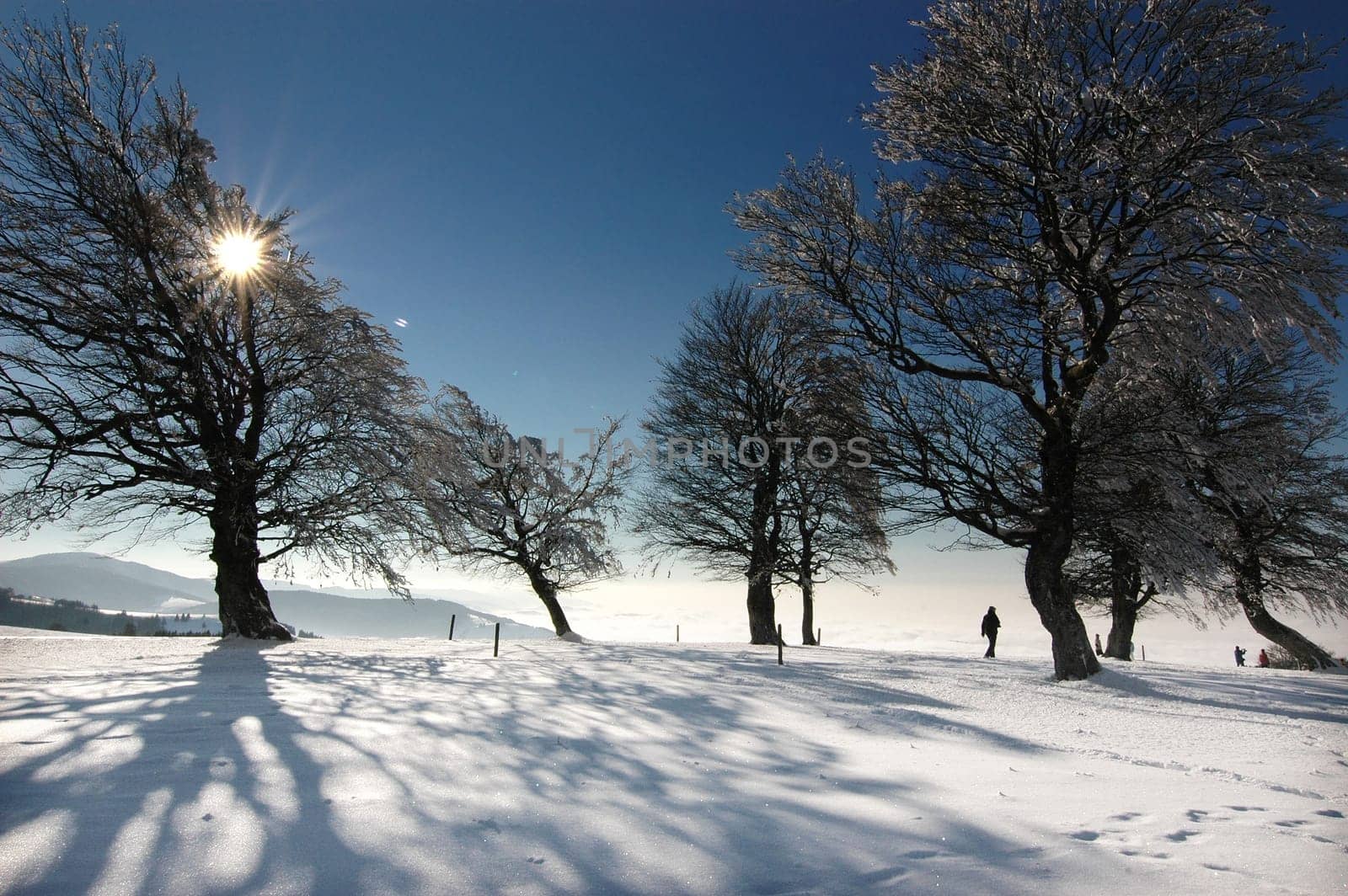 Winter Landscape 2