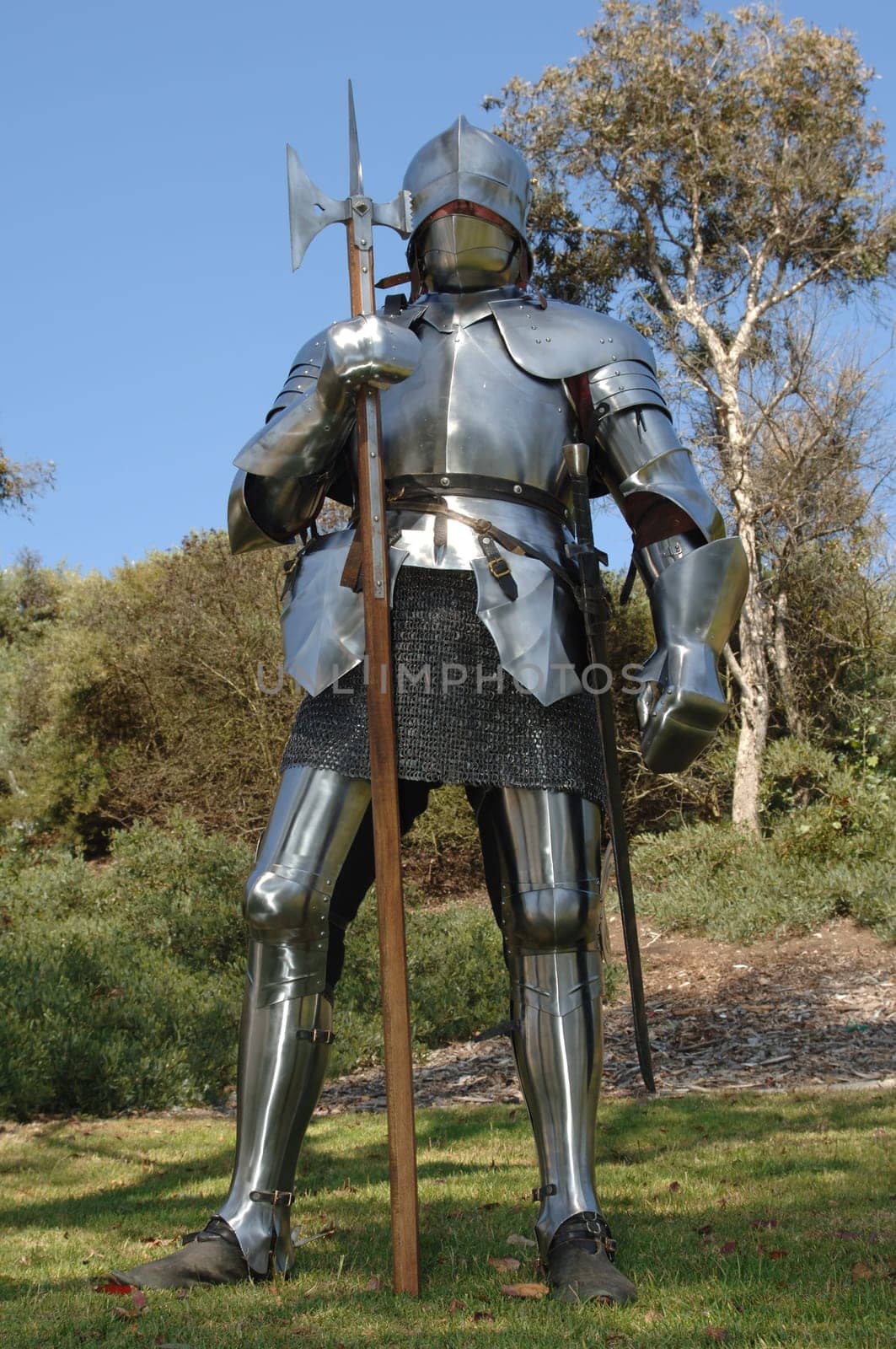 knight