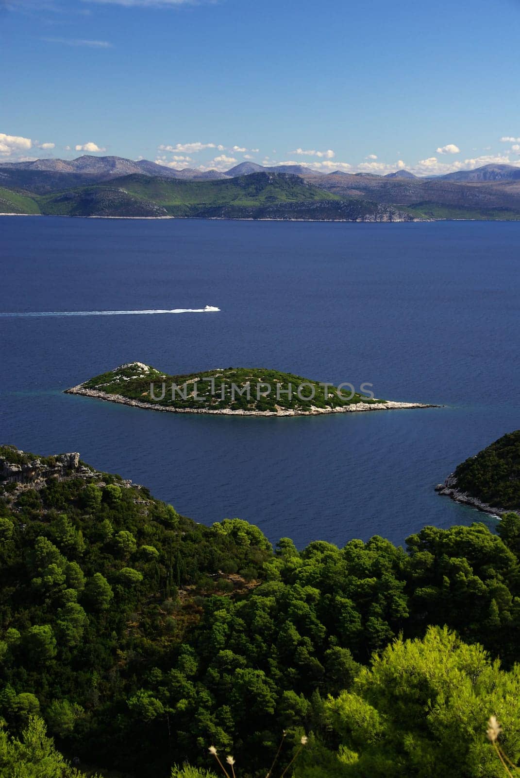 Mljet island in front of the island 02