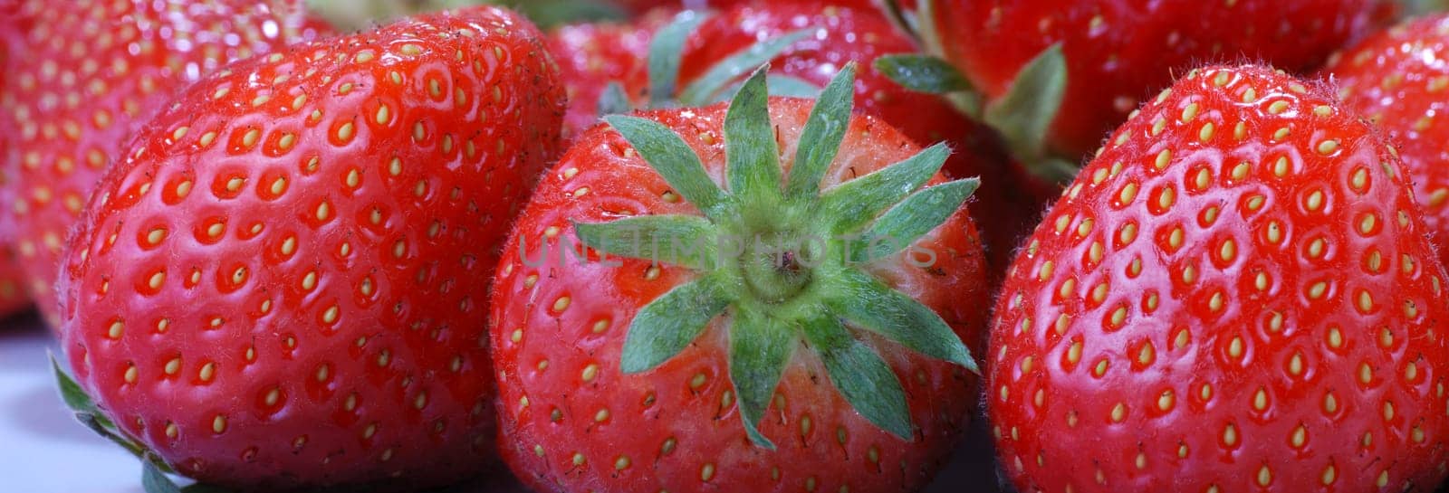 Strawberry panorama high resolution