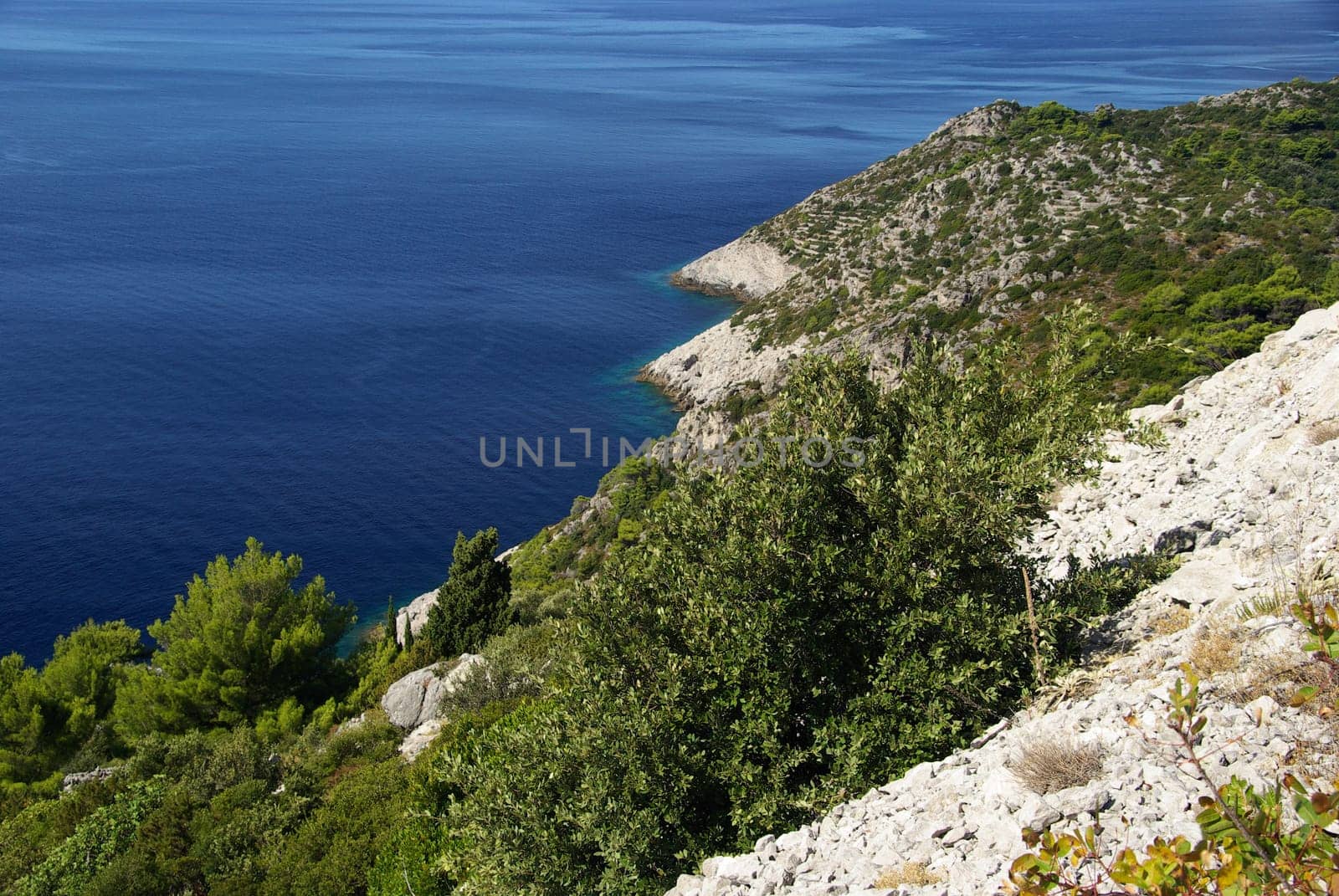 Mljet Coast 04