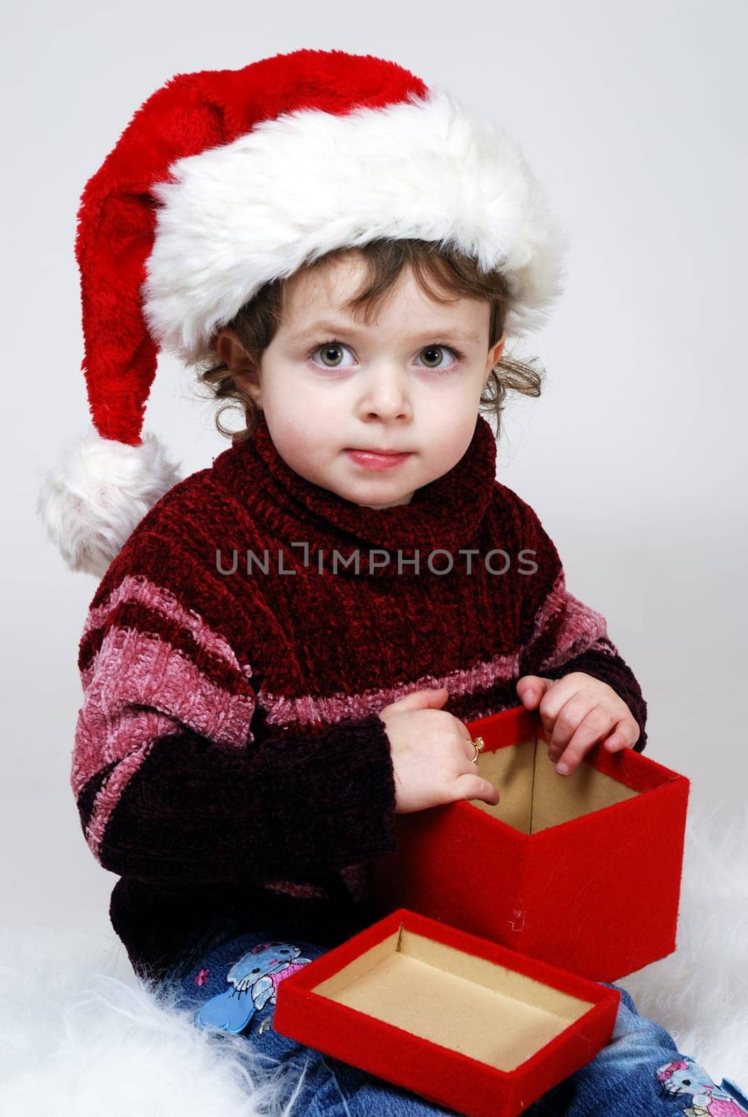 Christmas Portrait