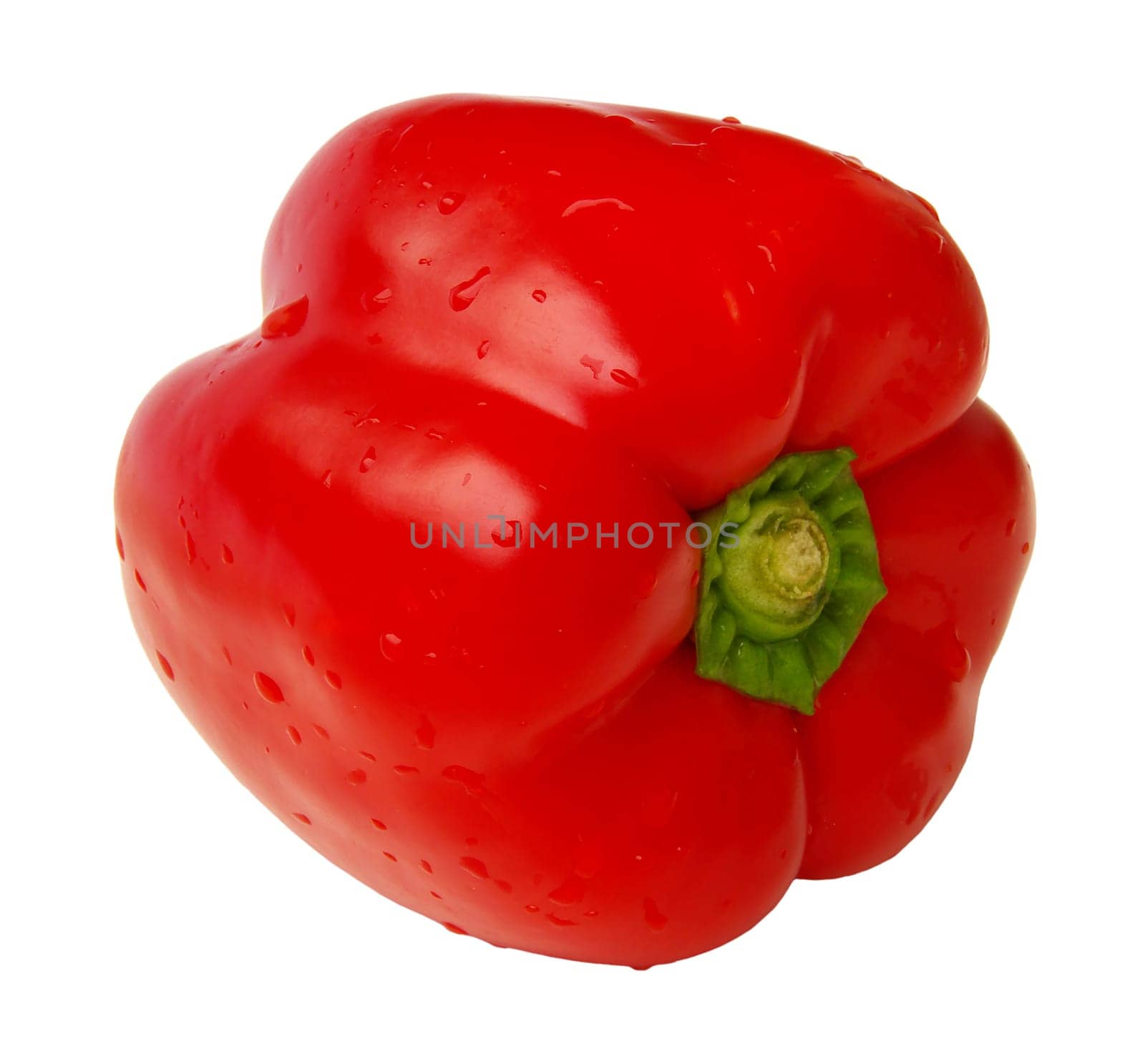 Bell Pepper 08